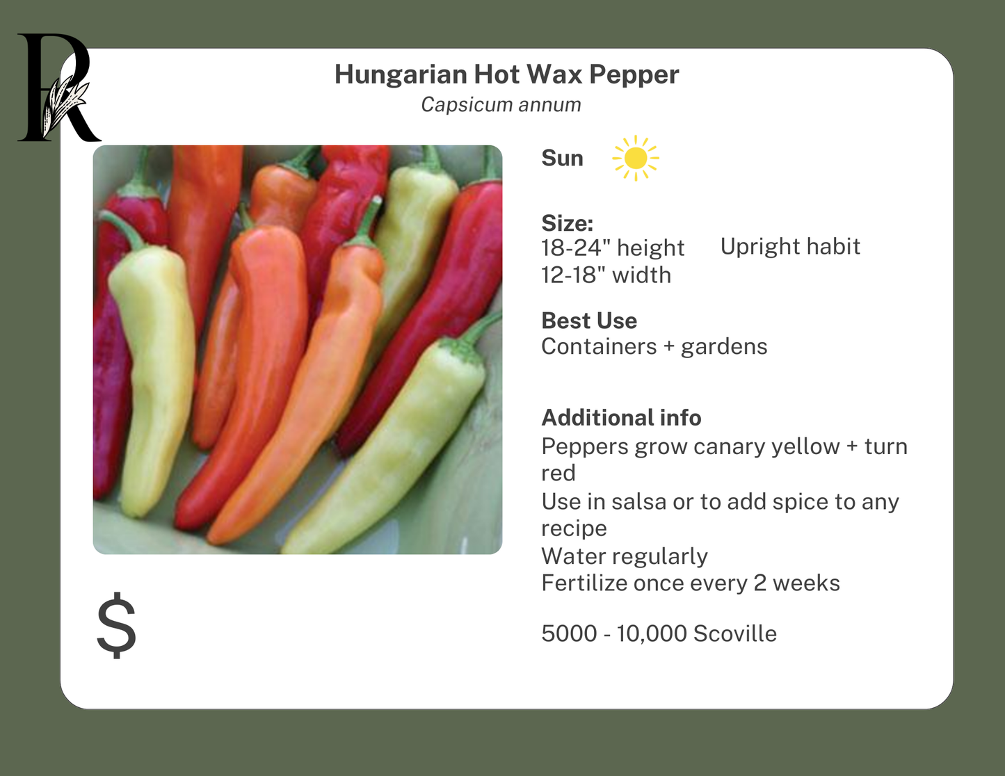 Hungarian Hot Wax Pepper