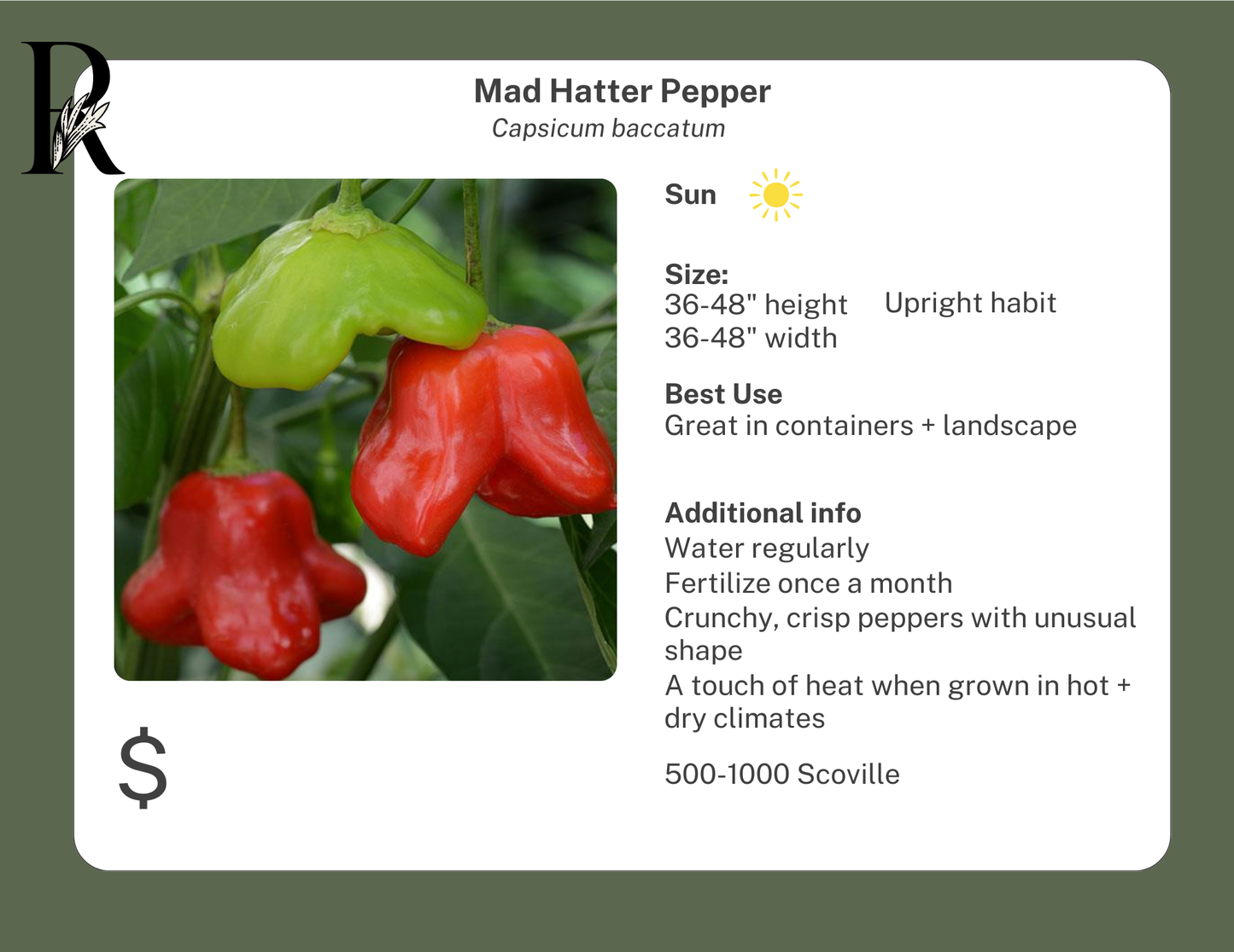 Mad Hatter Pepper