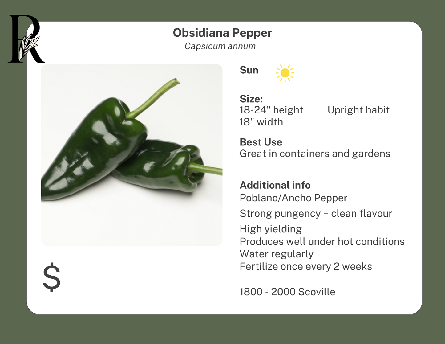 Obsidiana Pepper
