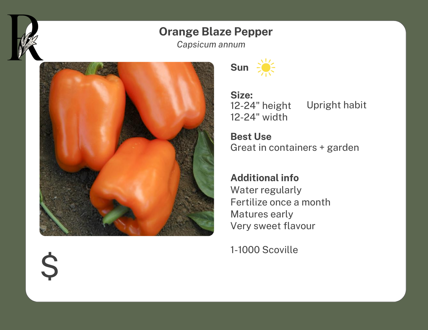 Orange Blaze Pepper