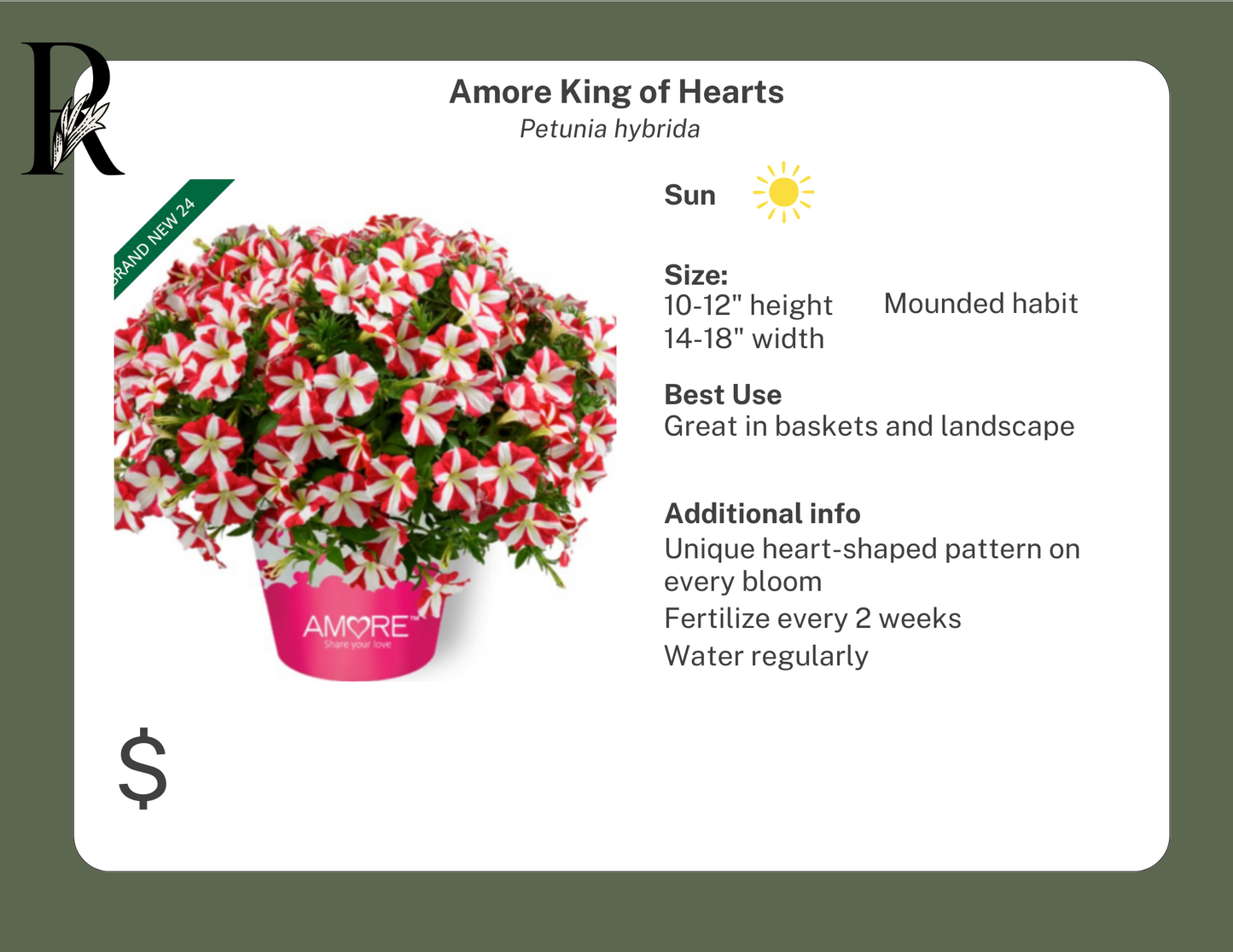 Amore King of Hearts Petunia