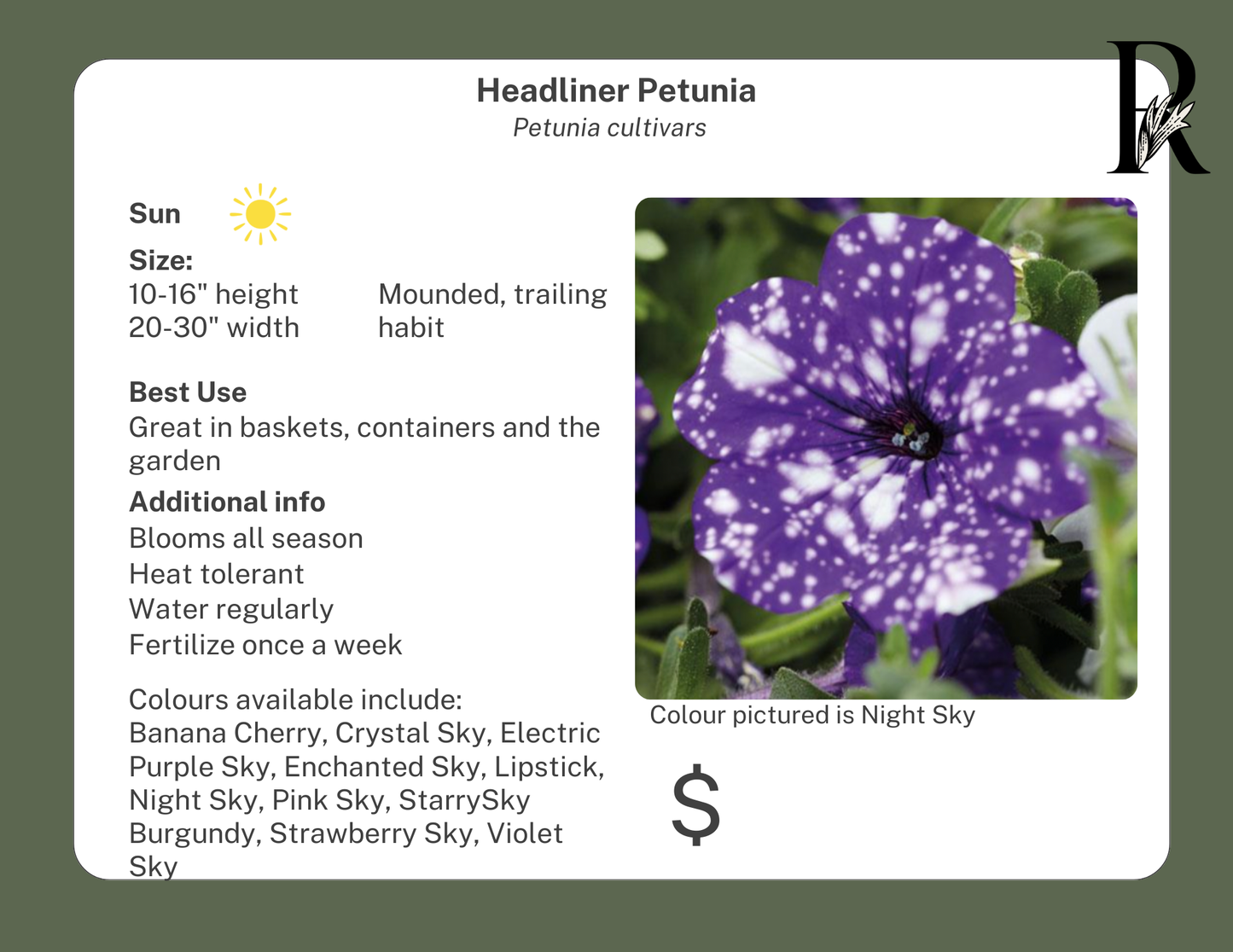 NEW! Headliner Petunia Crystal Pink