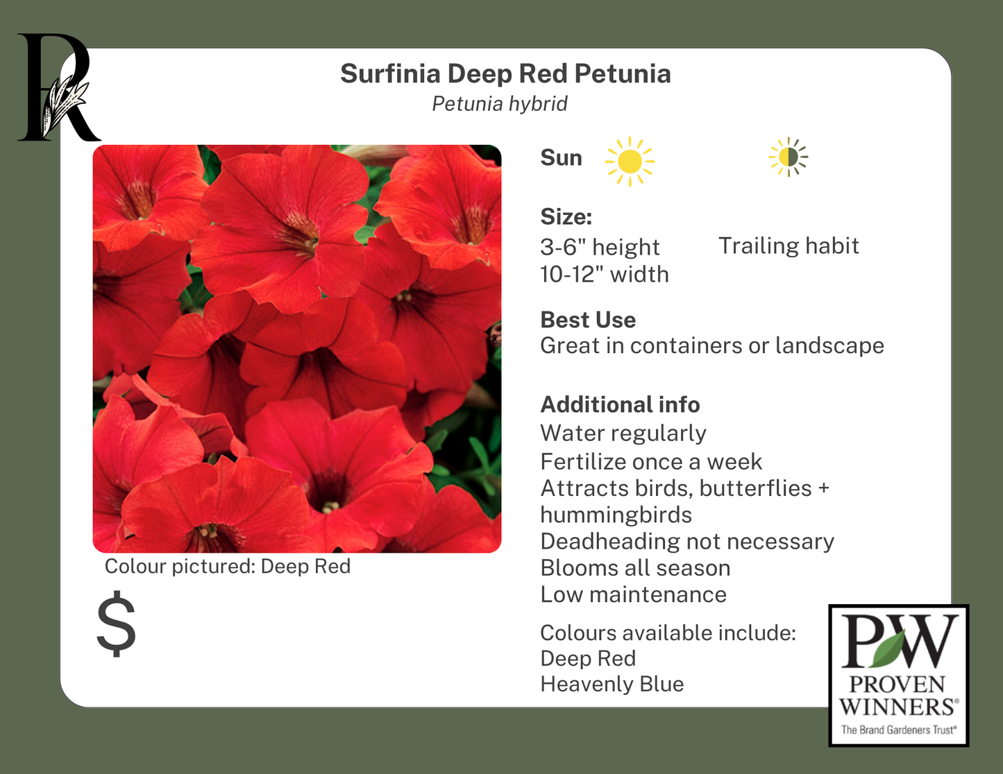 Surfinia Deep Red Petunia (Proven Winners)