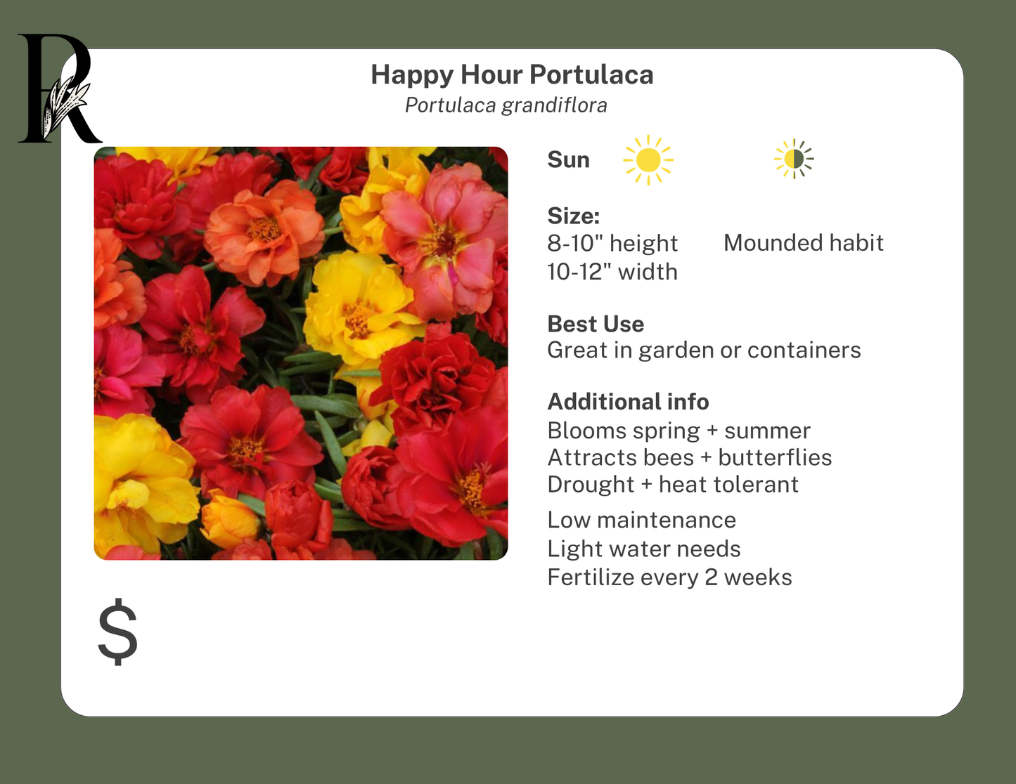 Happy Hour Portulaca Lemon