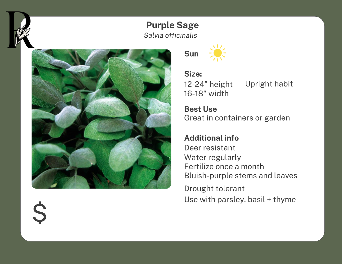 Purple Sage