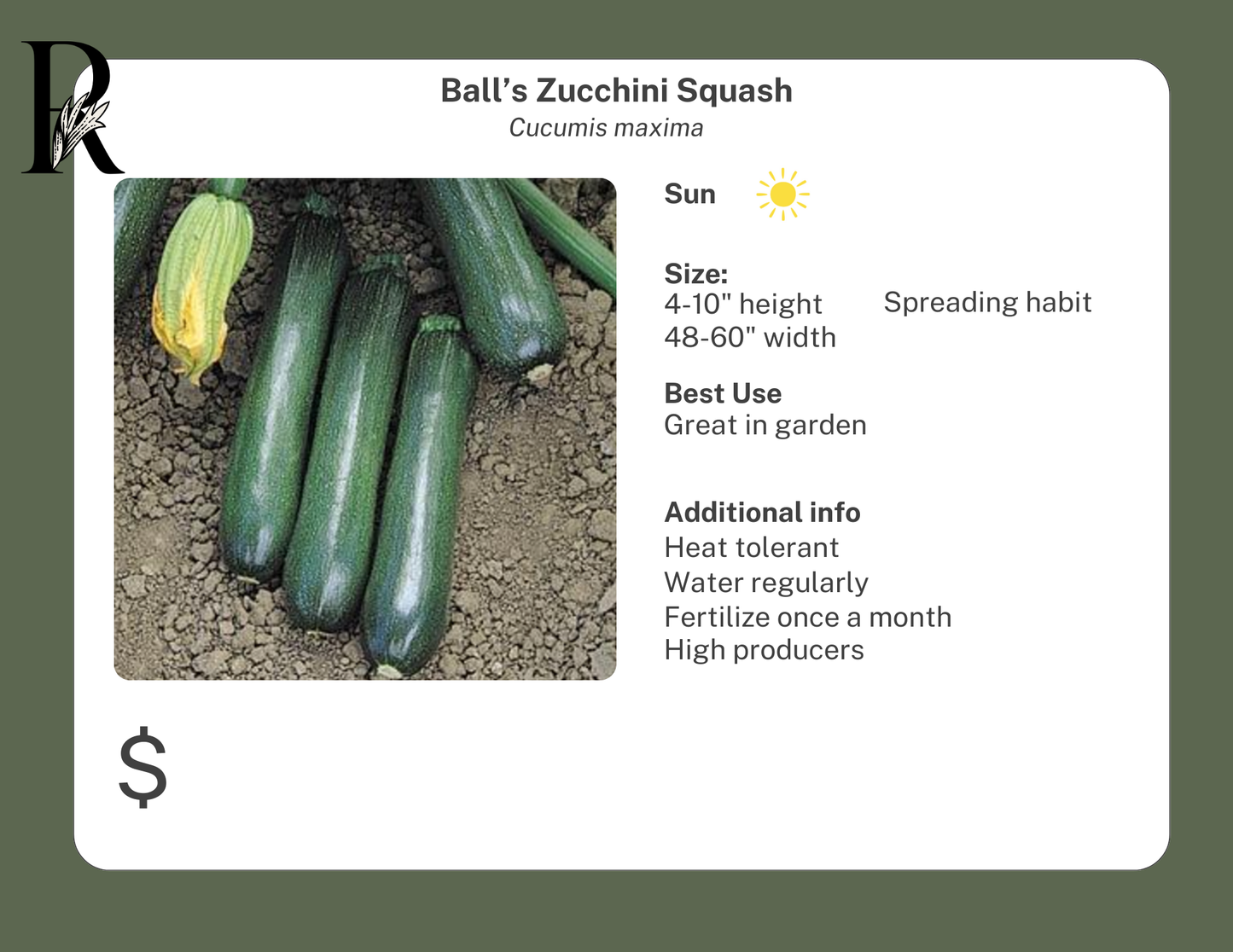 Ball's Zucchini Squash