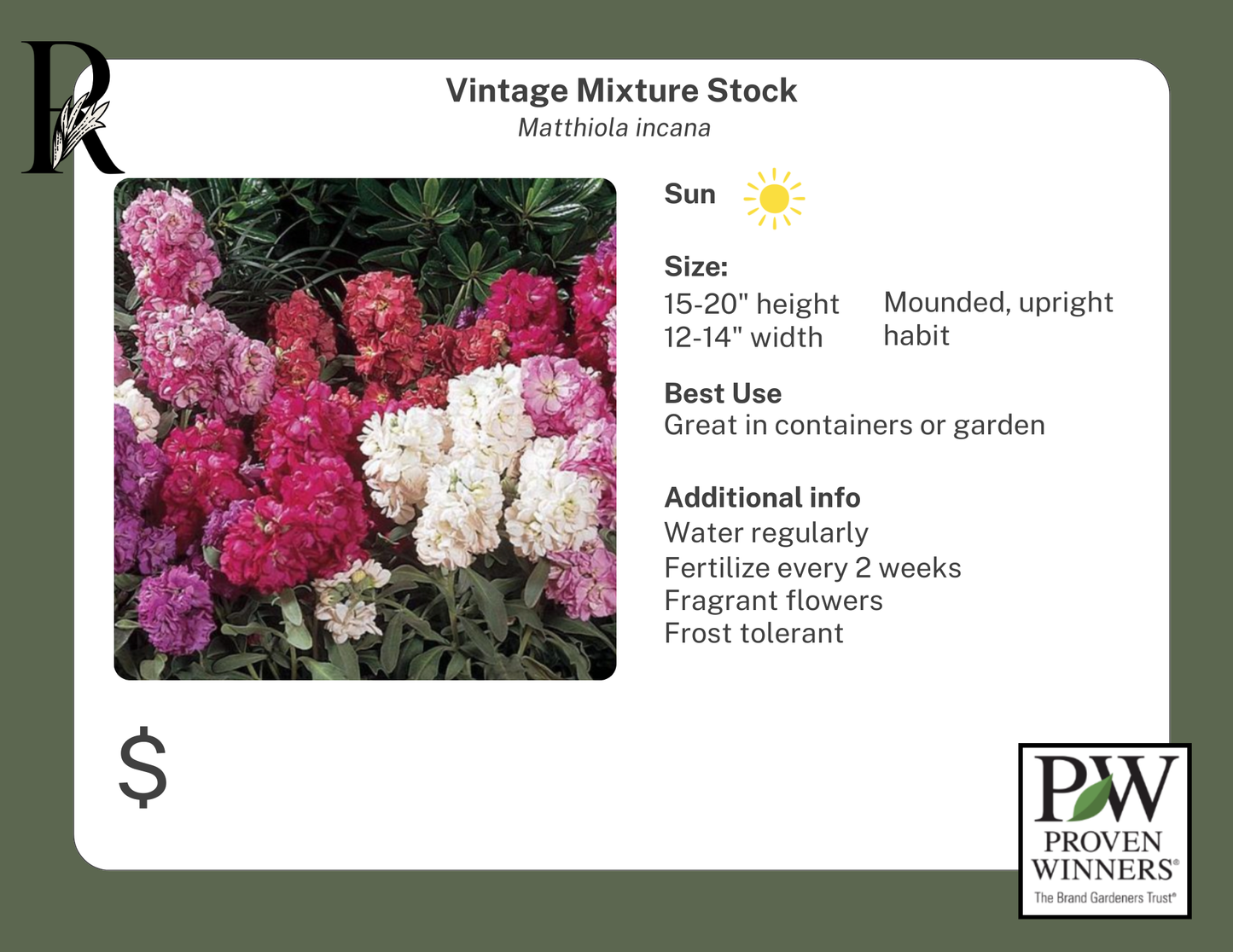 Vintage Mixture Stock