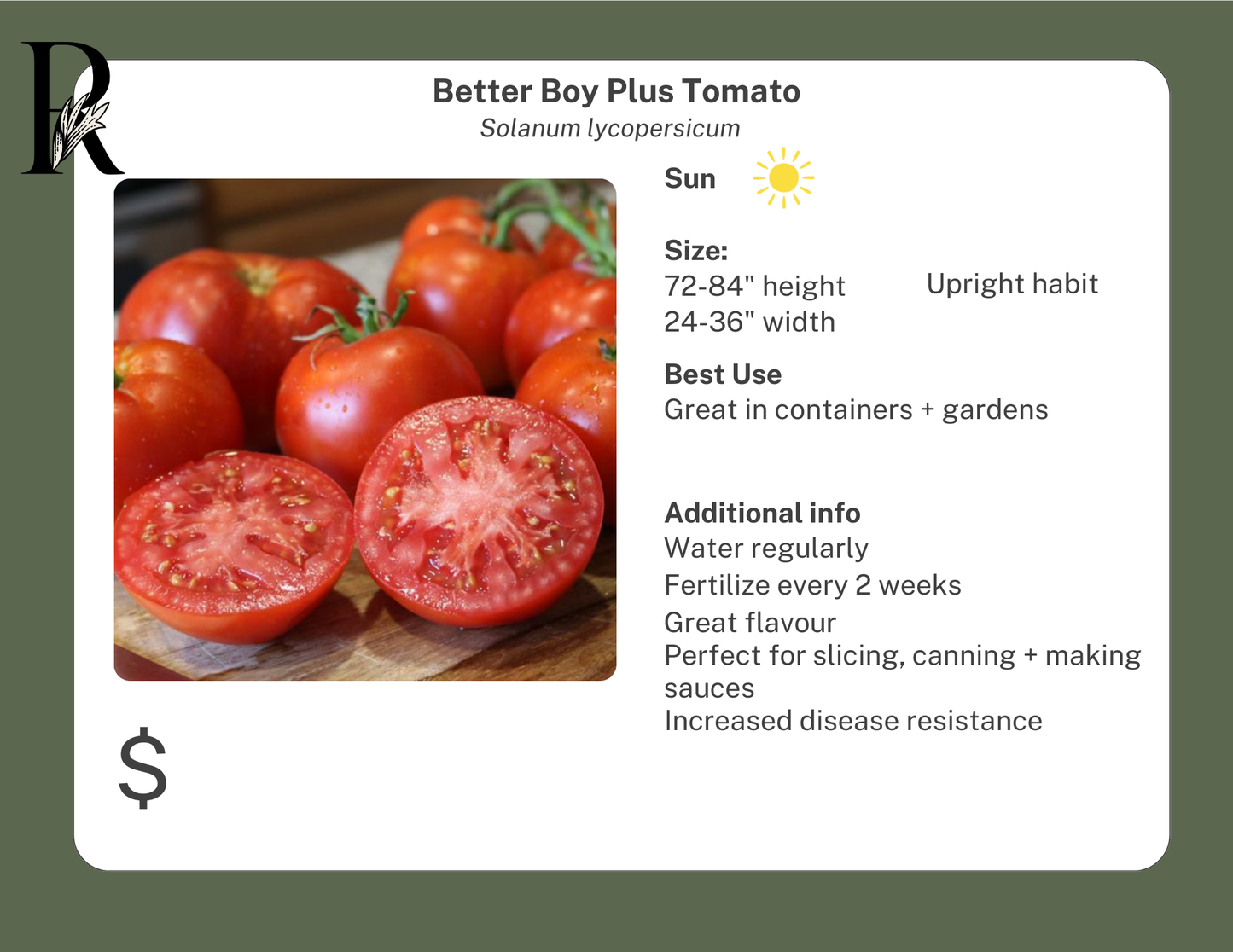 Better Boy Plus Tomato