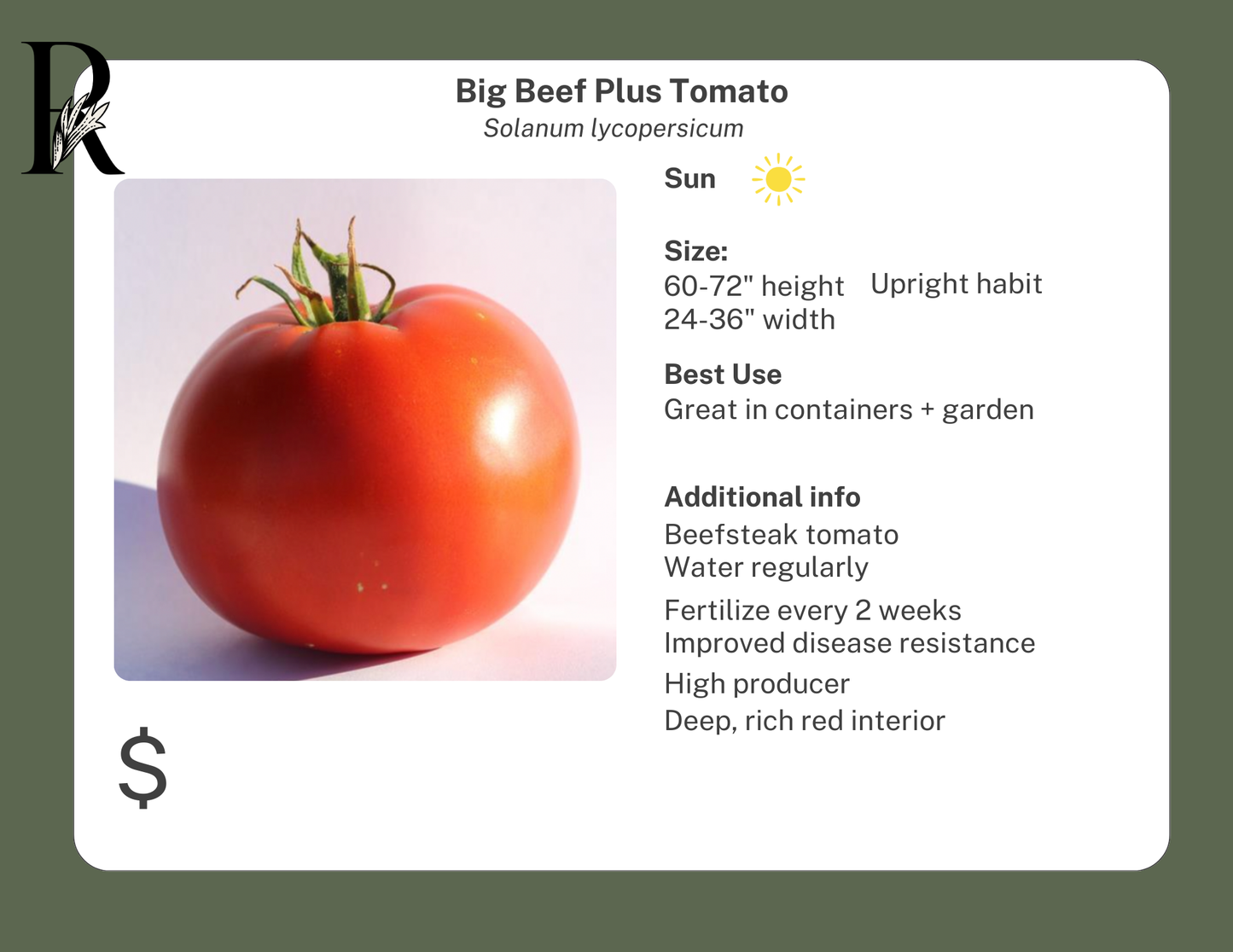 Big Beef Blus Tomato