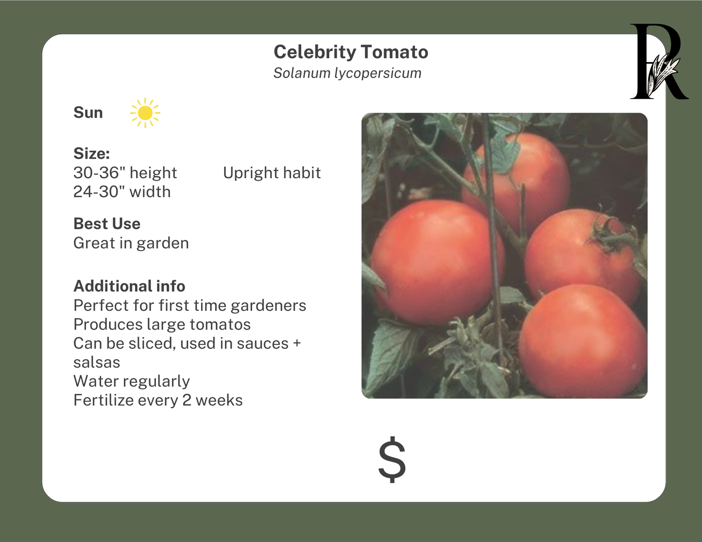 Celebrity Tomato