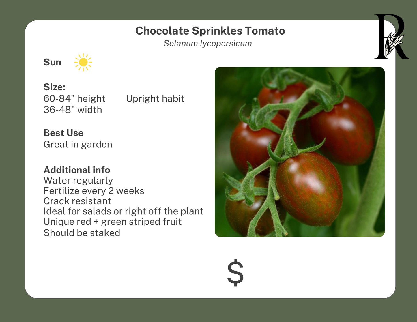 Chocolate Sprinkles Tomato