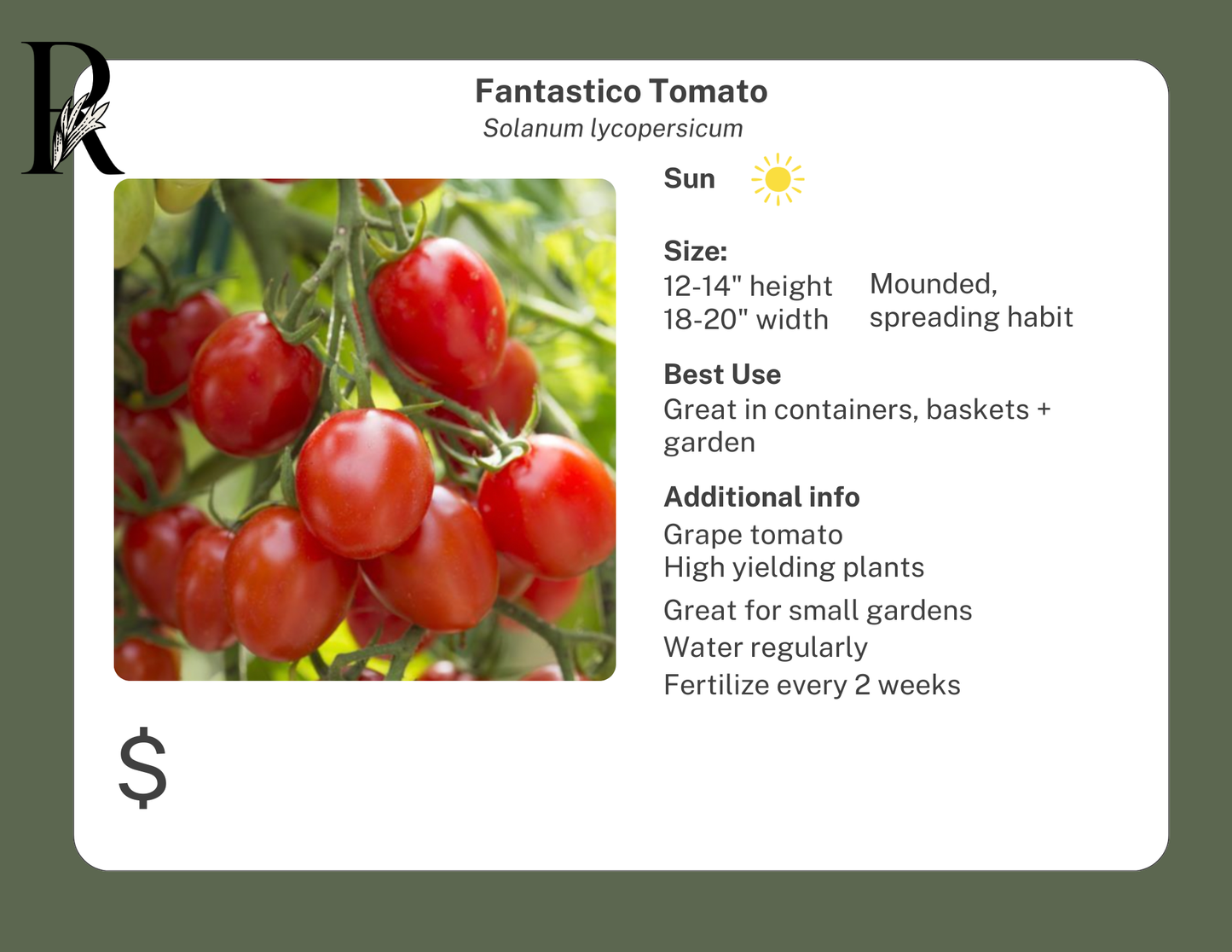 Fantastico Tomato