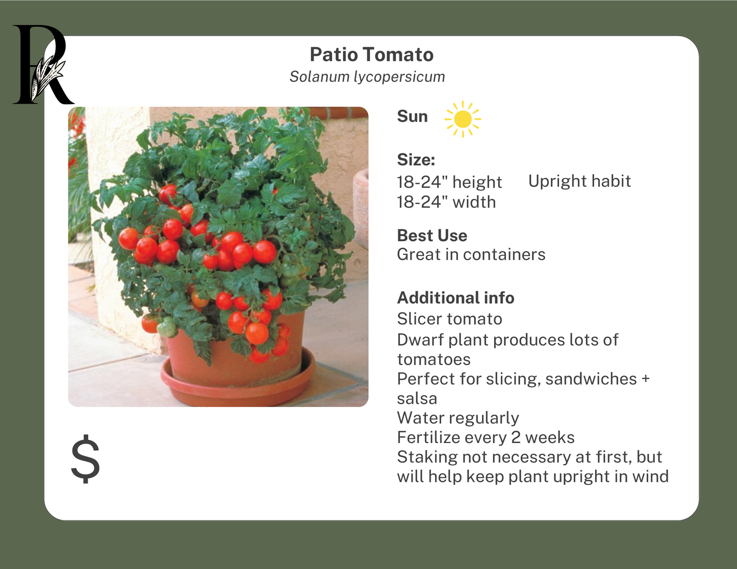 Patio Tomato