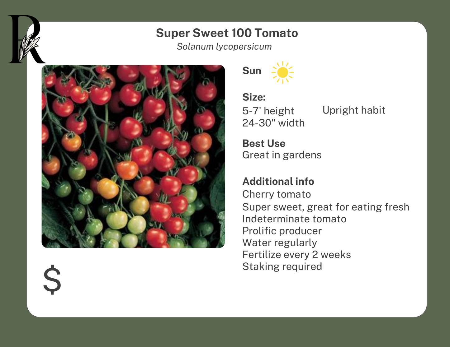 Super Sweet 100 Tomato