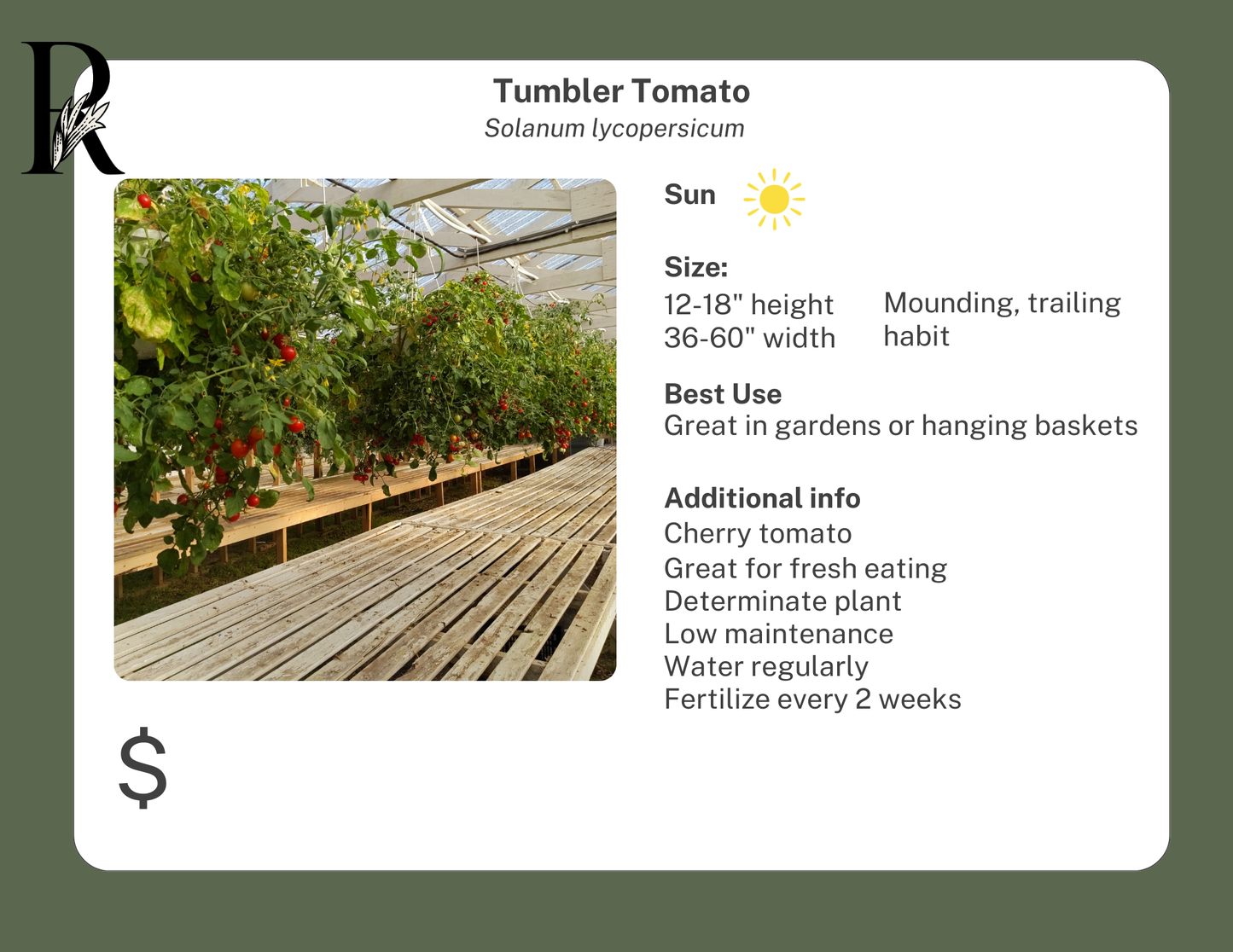 Tumbler Tomato
