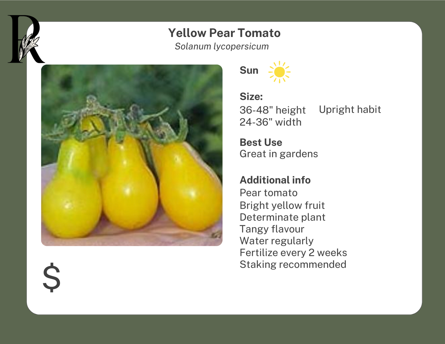 Yellow Pear Tomato