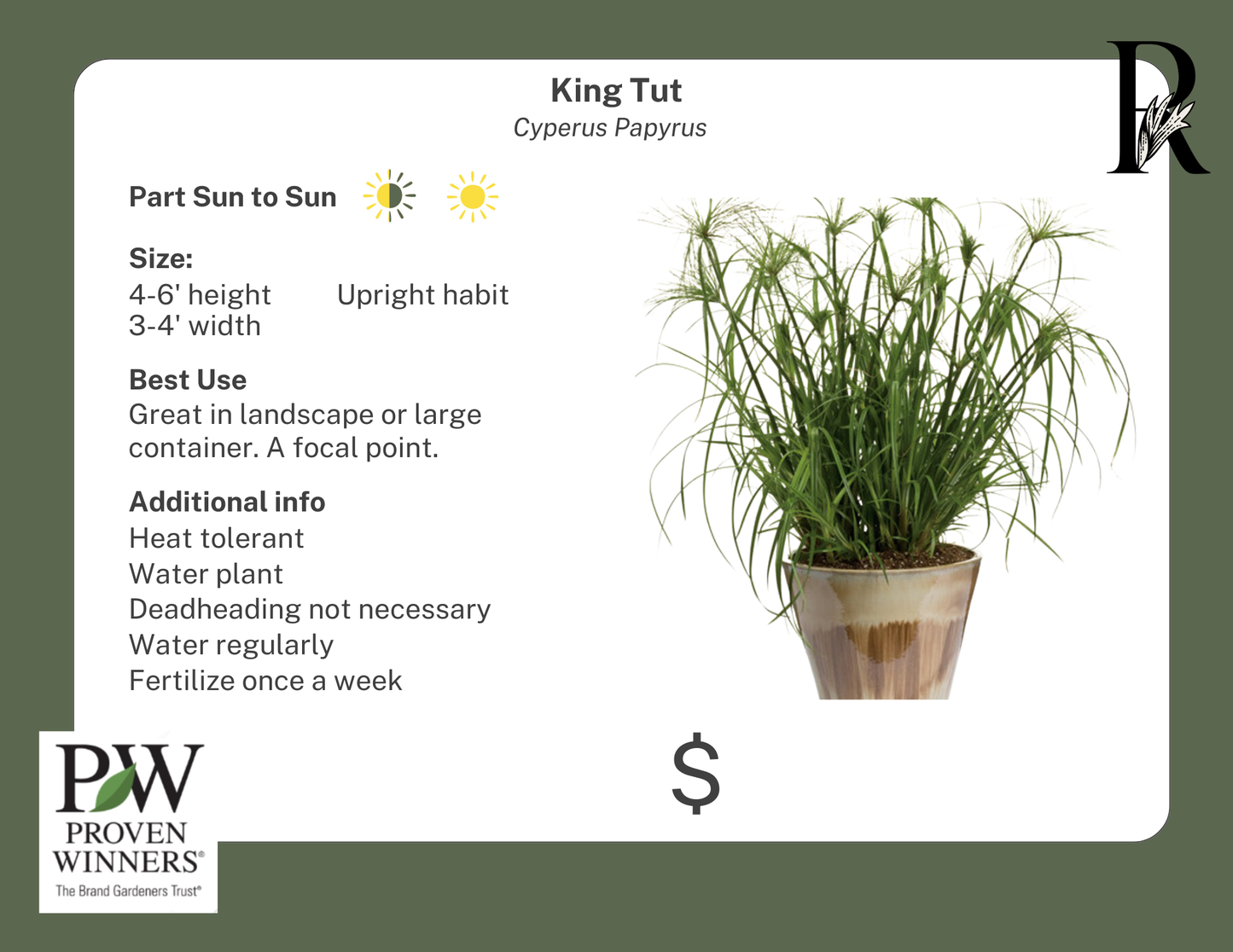 King Tut