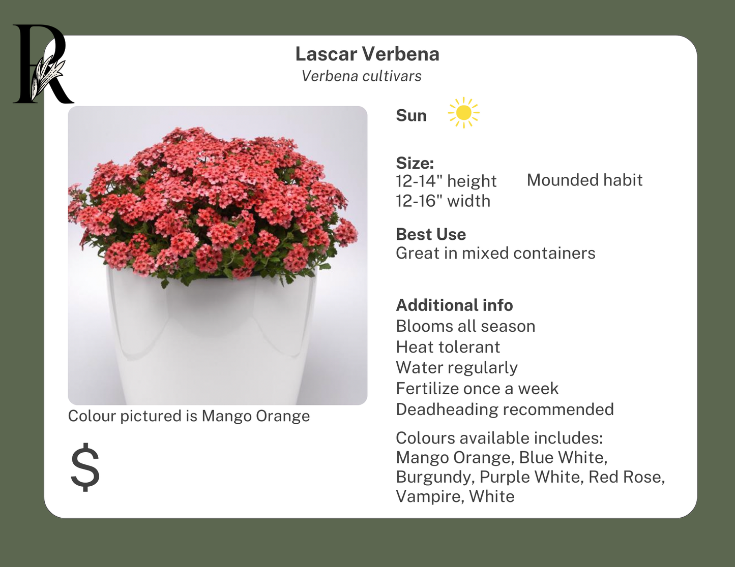 Lascar Verbena Orange Lava