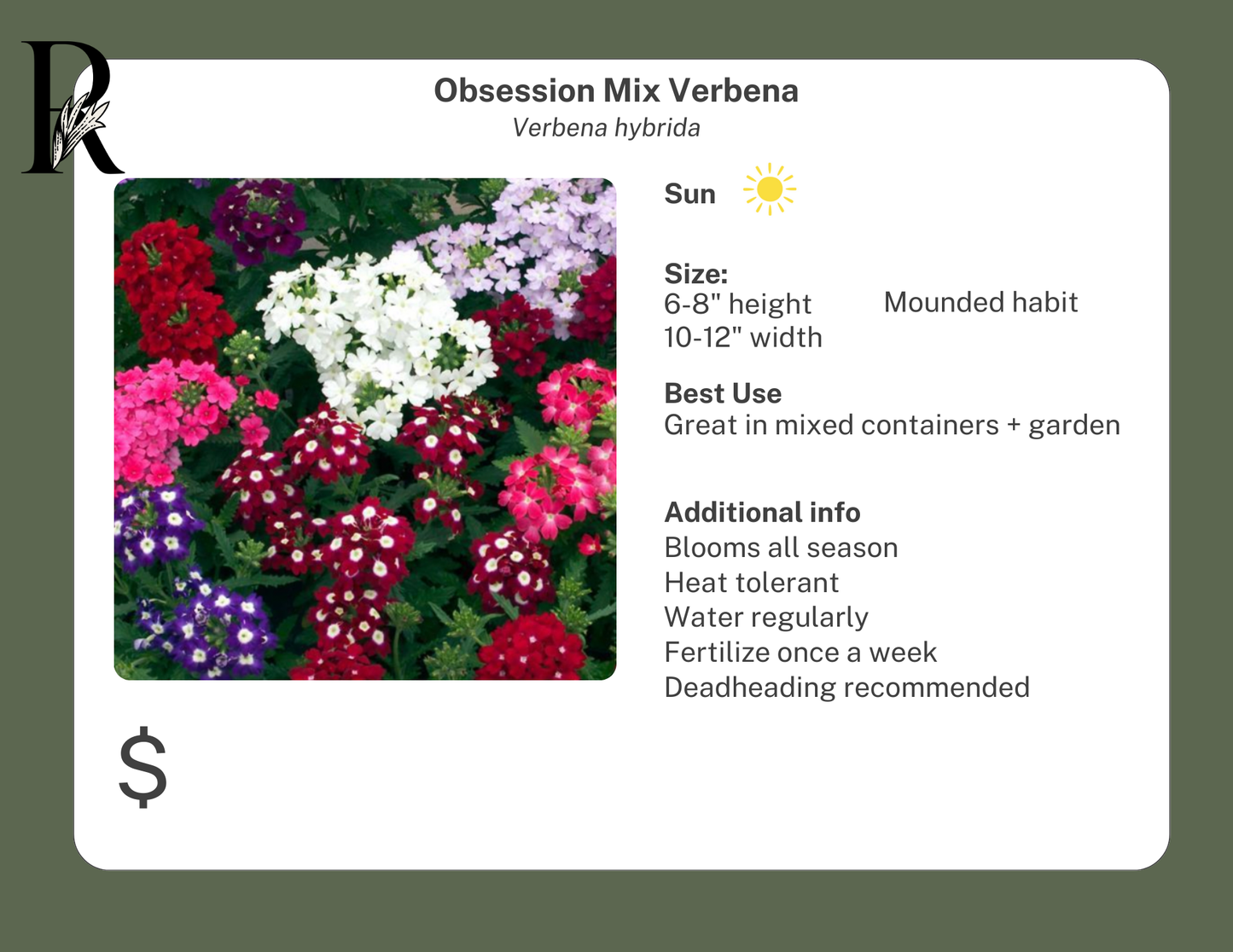 Obsession Mix Verbena