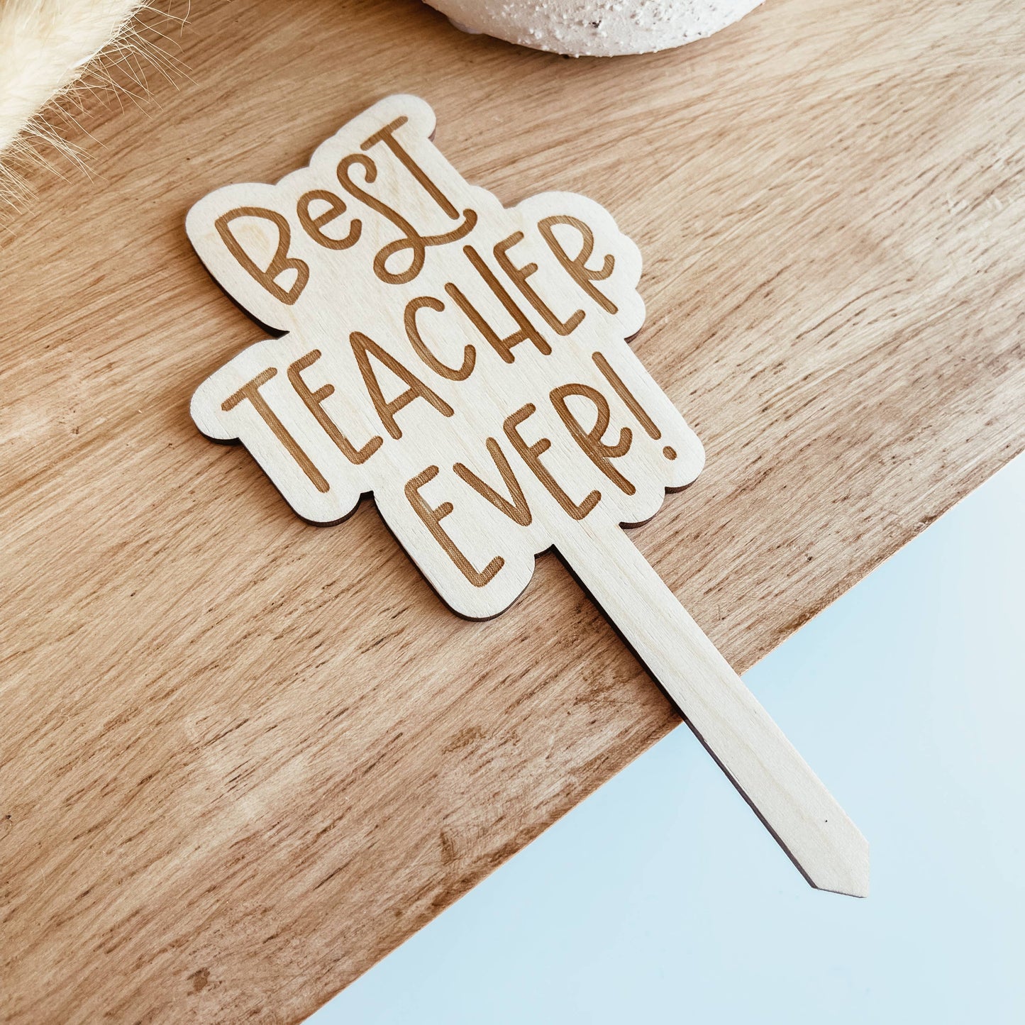 Best Teacher Ever Plant Stake