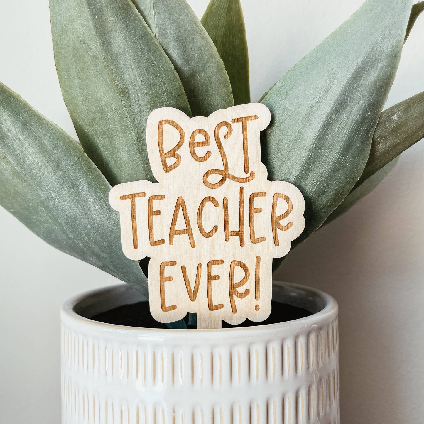 Best Teacher Ever Plant Stake
