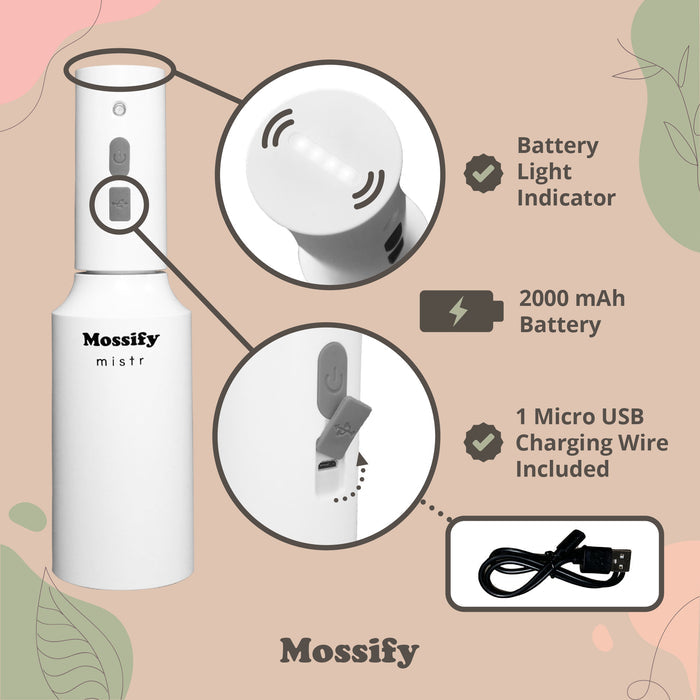 Mossify mistr