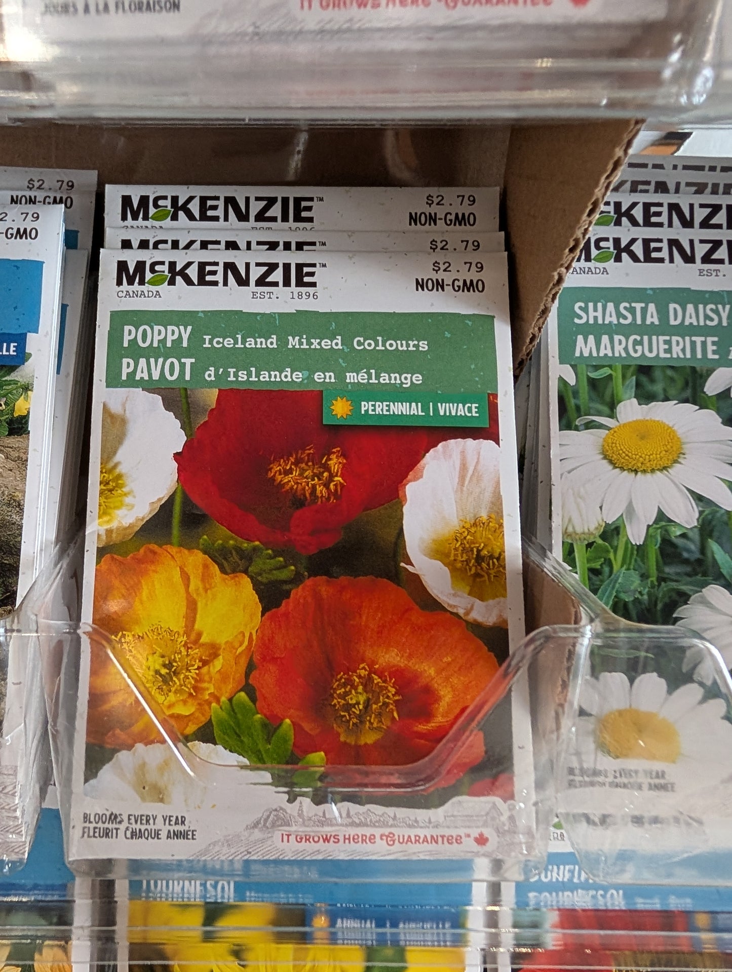 Iceland Mixed Colors Poppy