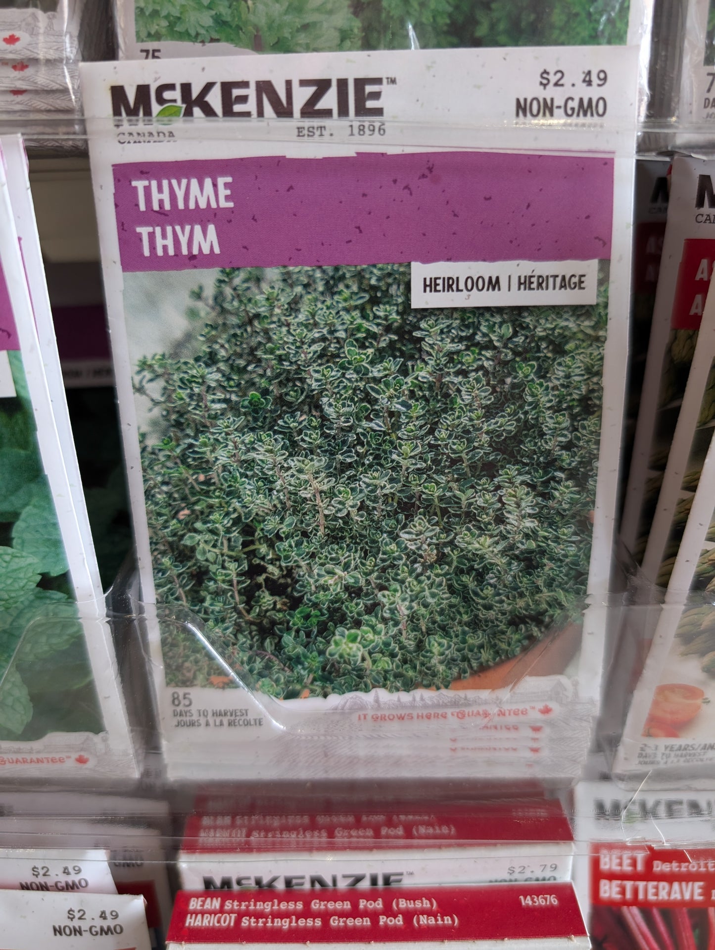 Thyme