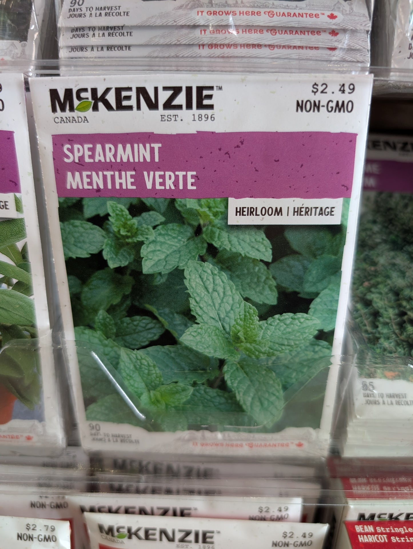 Spearmint