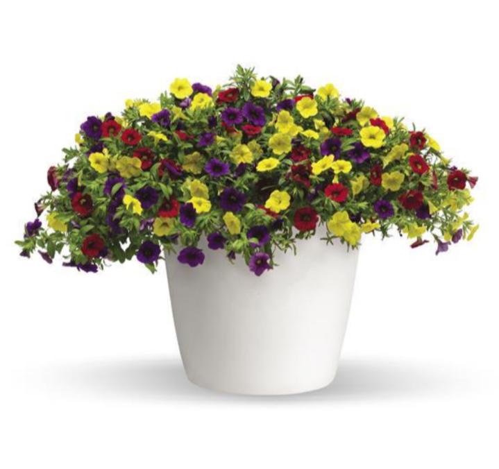 Blue Tones Hanging Basket