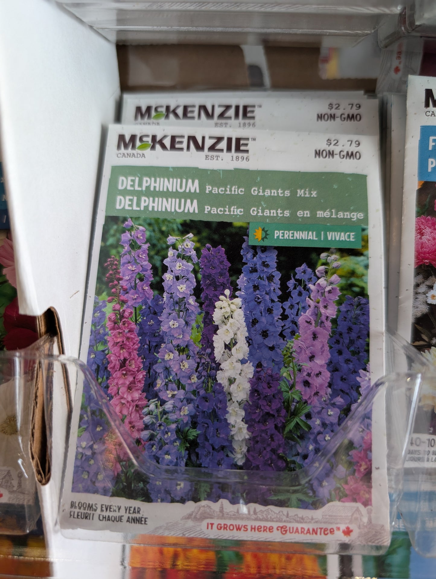 Pacific Giants Mix Delphinium