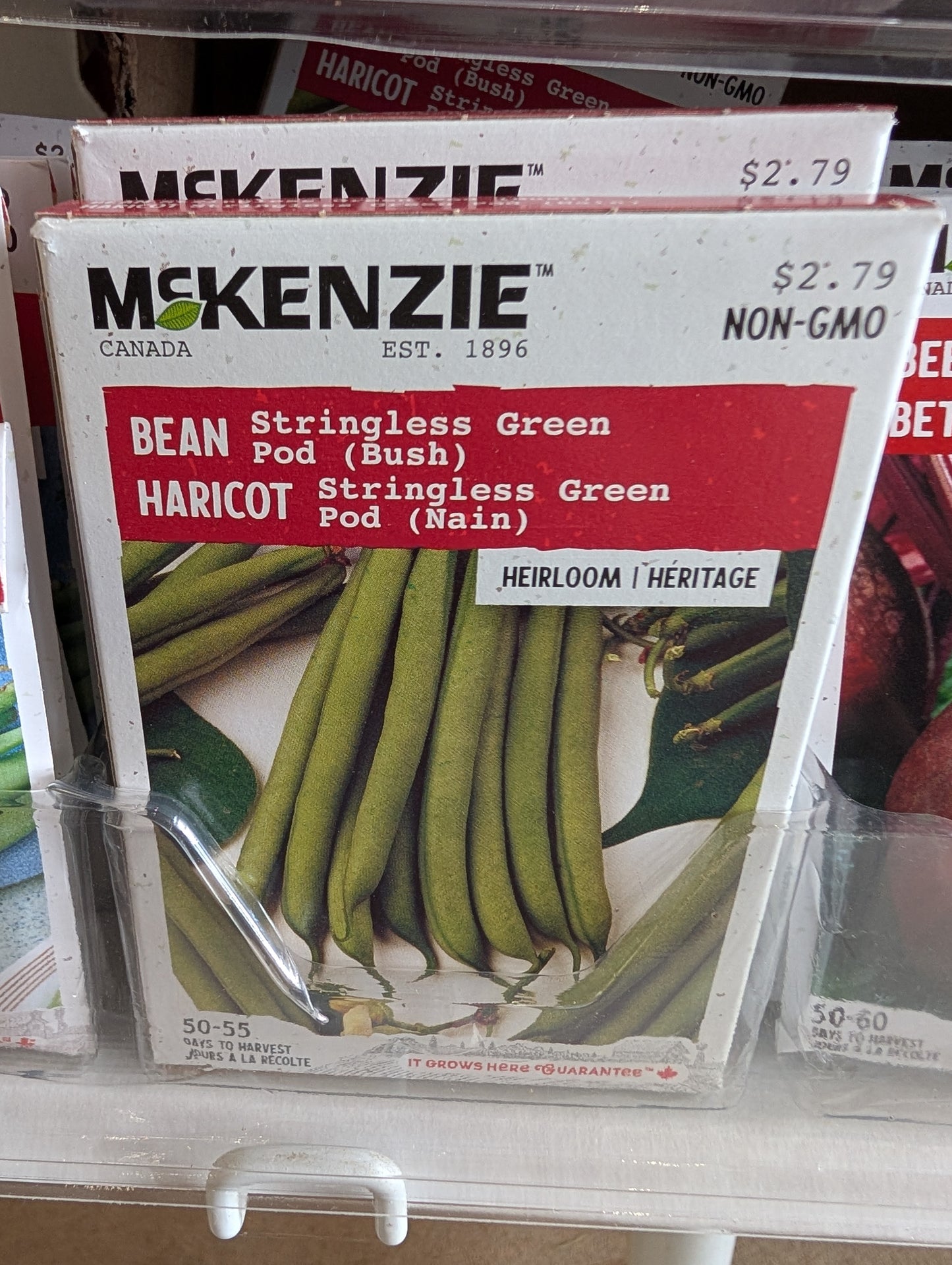 Stringless Green Pod Bean (bush)