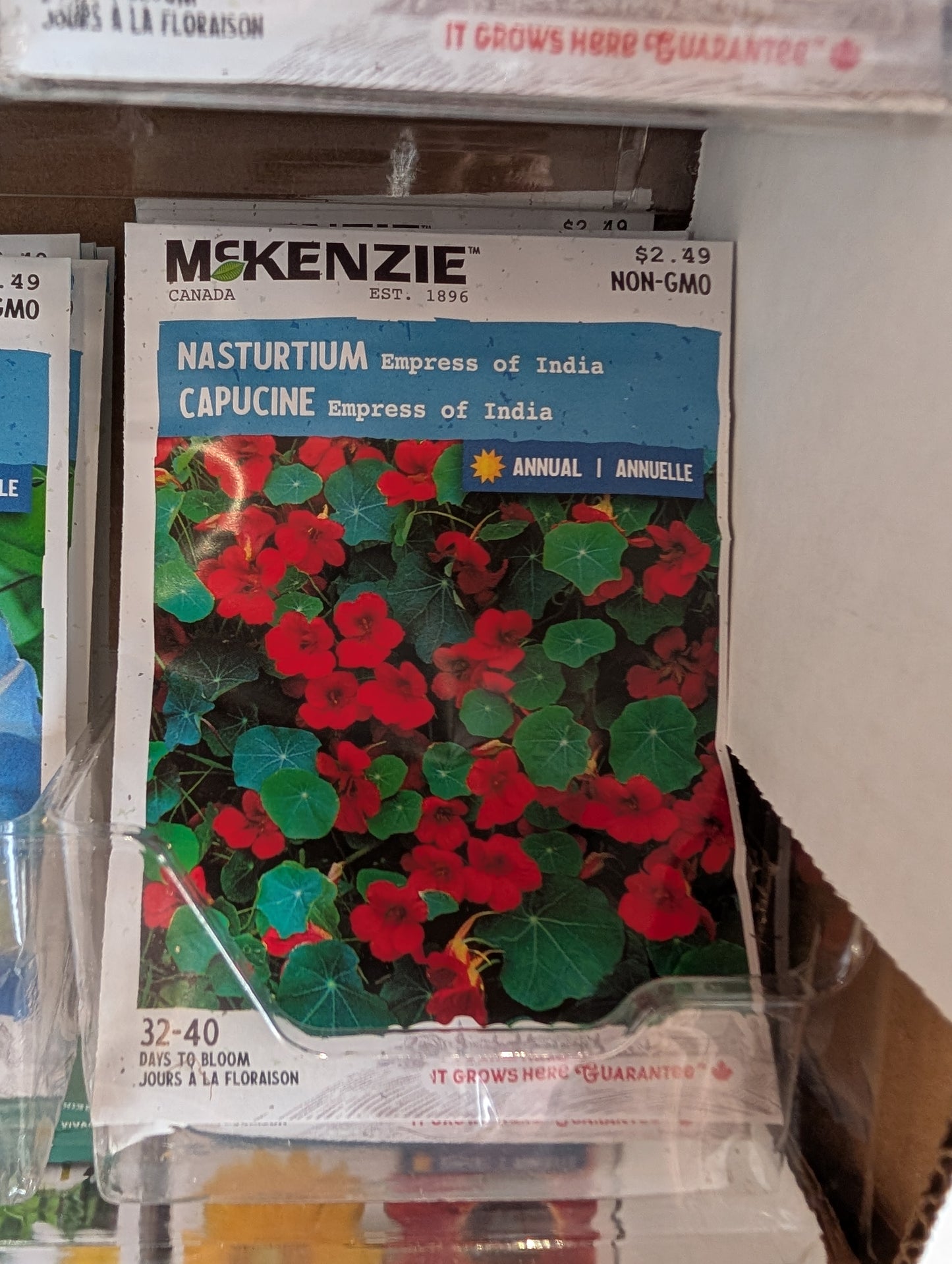 Empress of India Nasturtium
