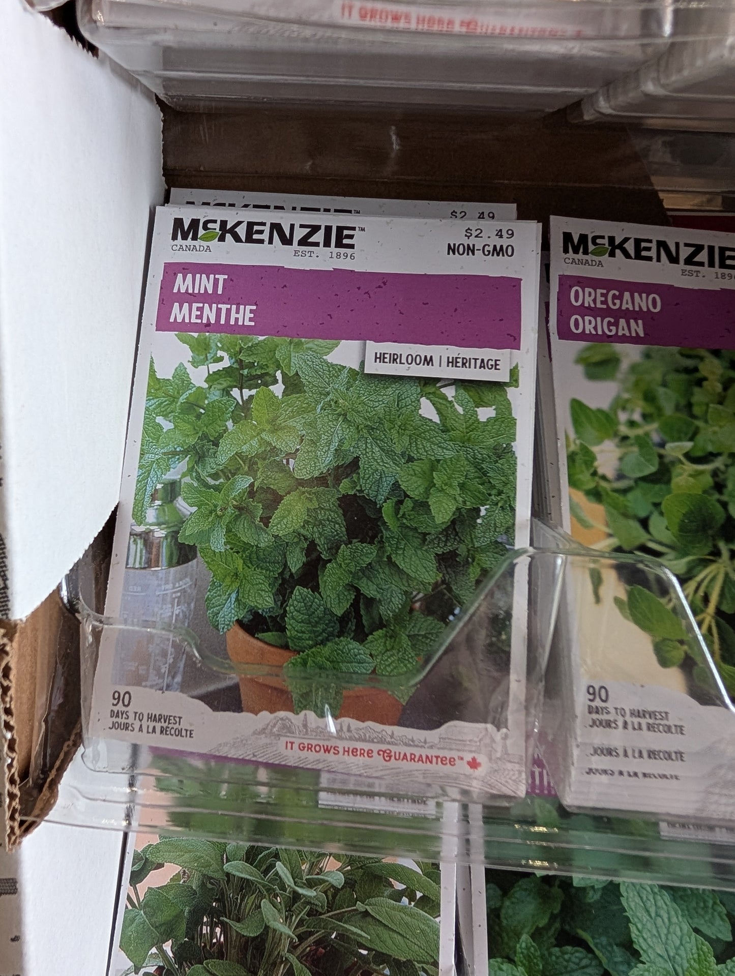 Mint