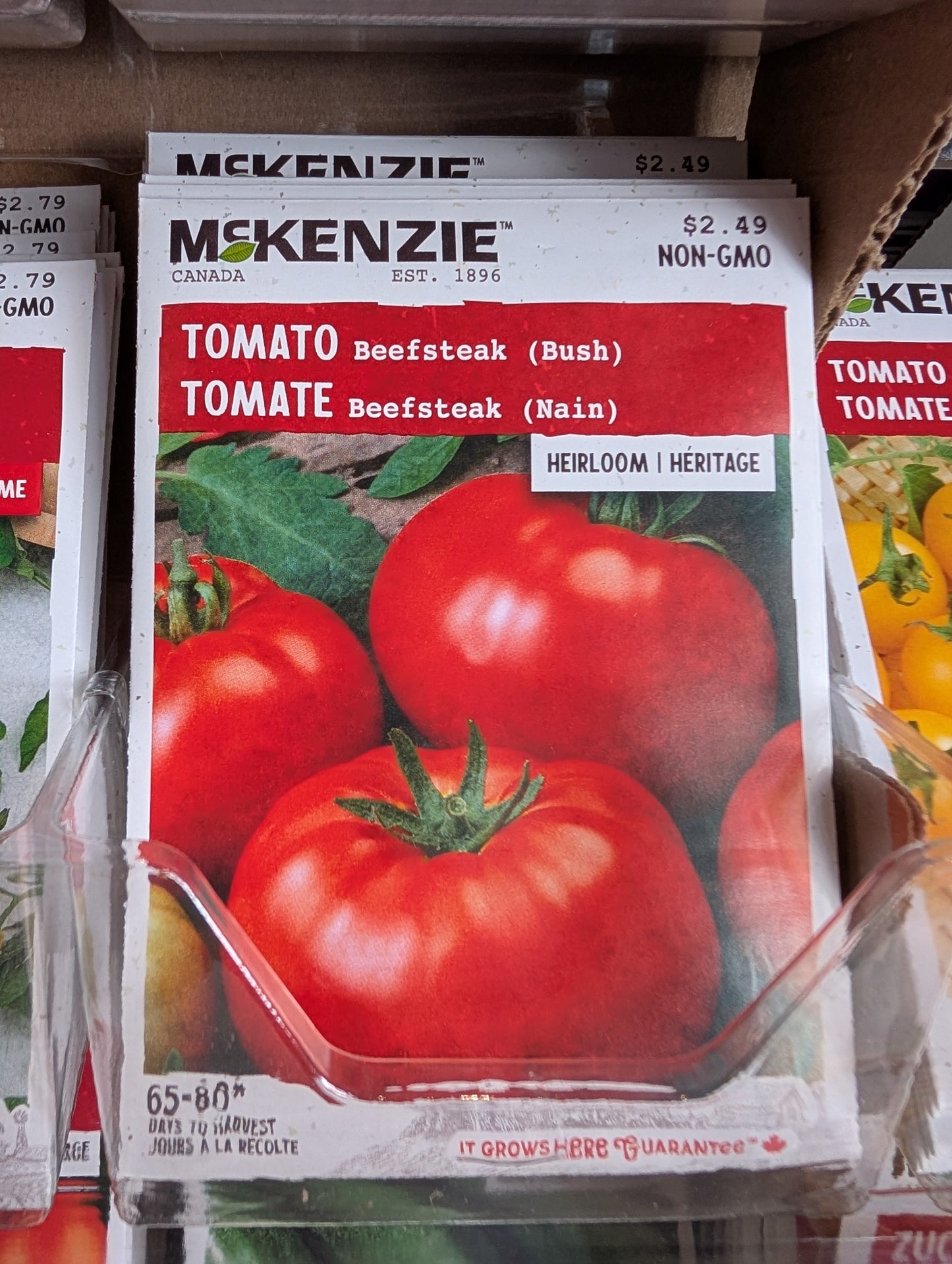 Bush Beefsteak Tomato