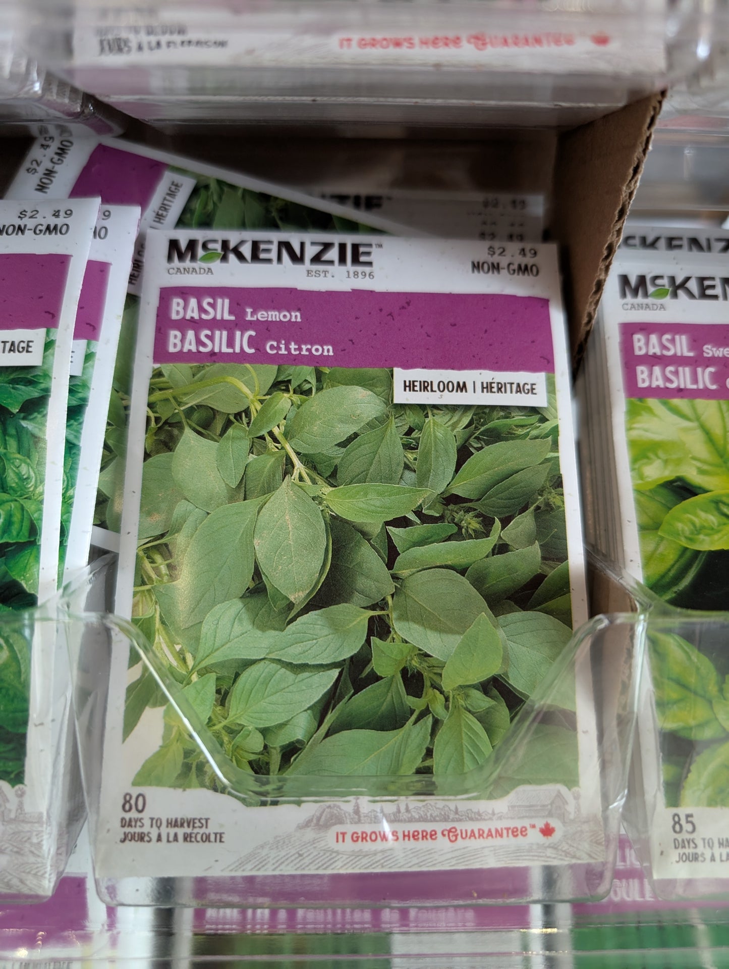 Lemon Basil