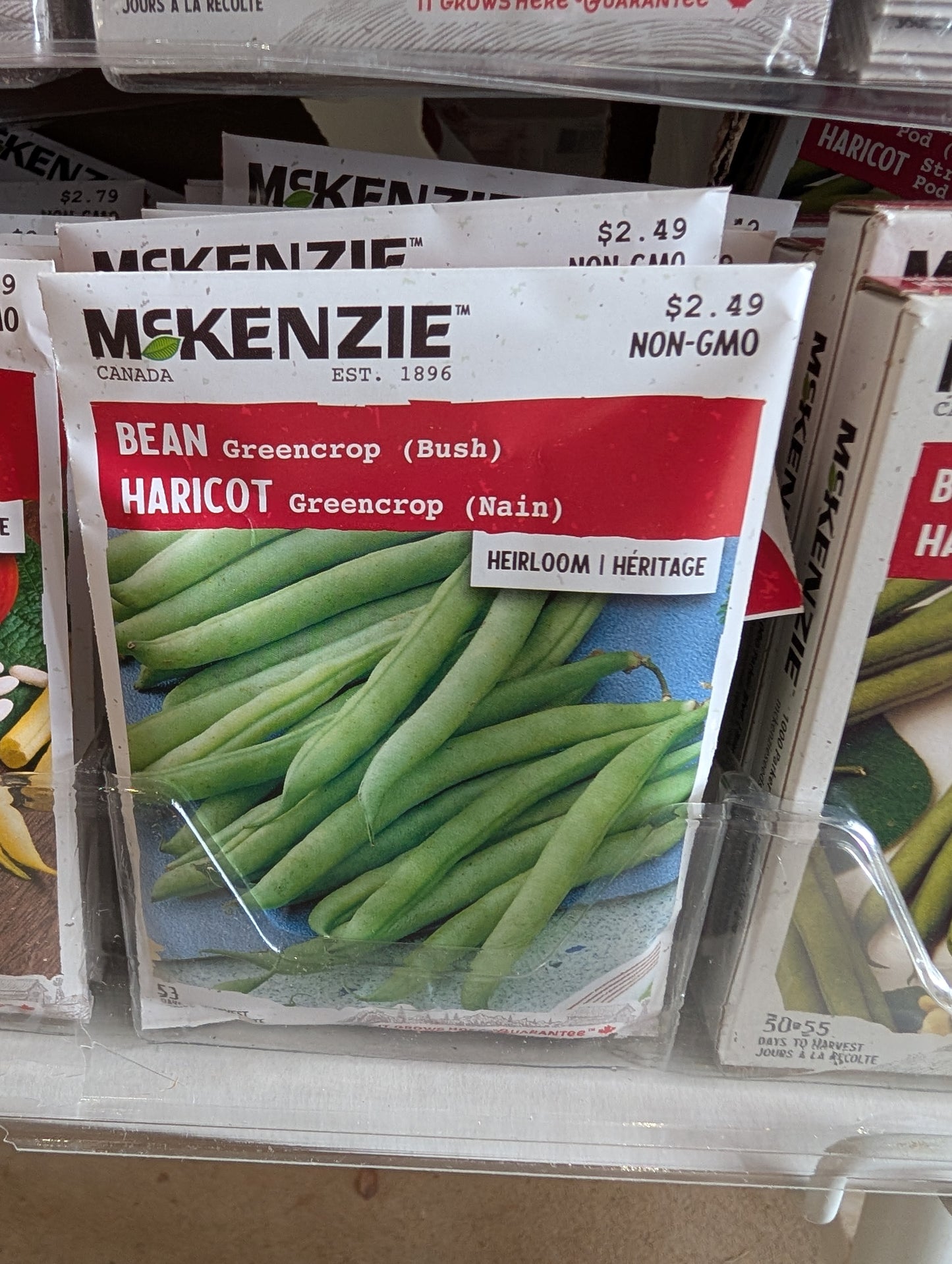 Greencrop Bean (Bush)