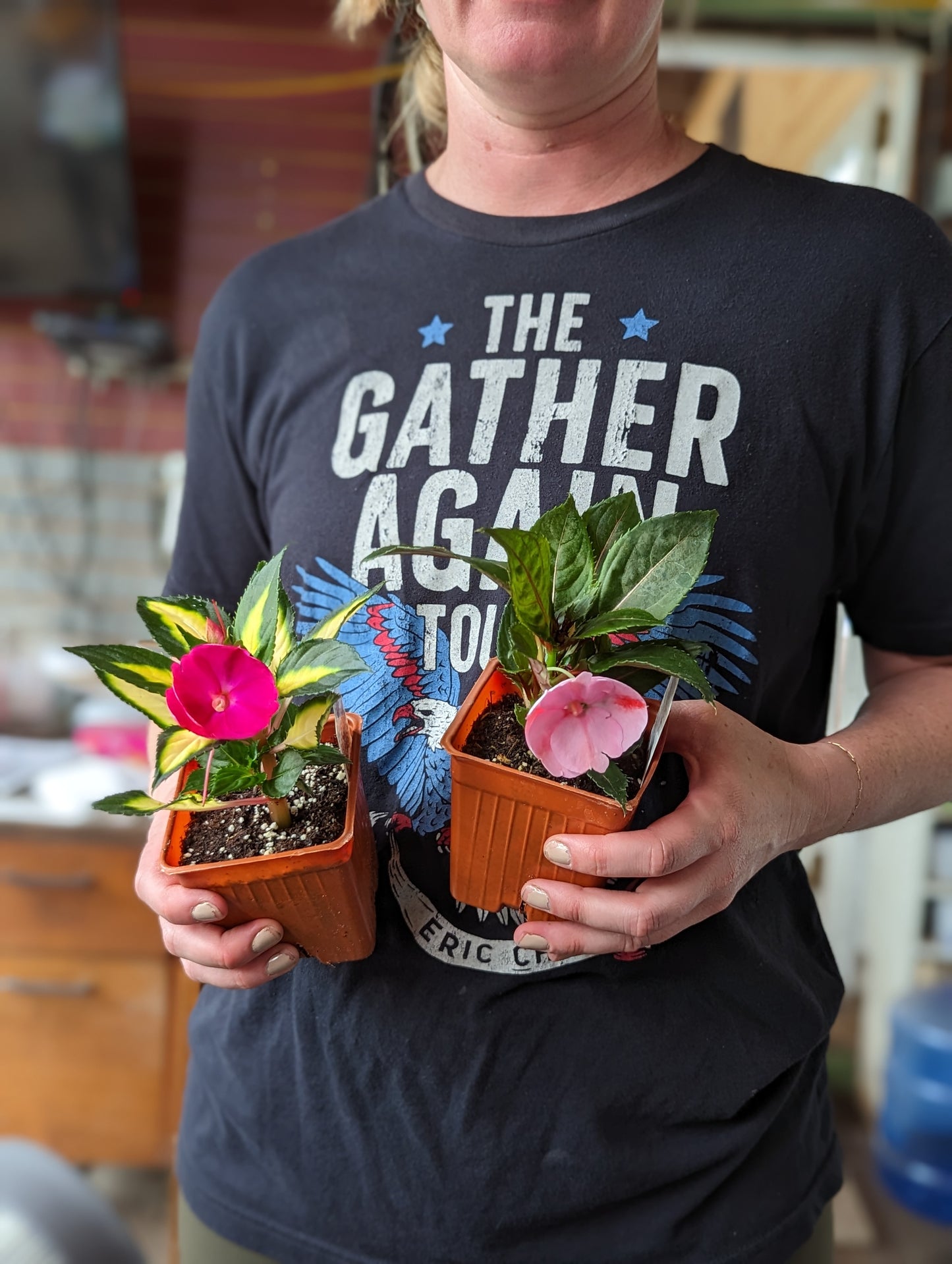 Mixed Flowers for a Sun Planter (Jumbo 6-Pack)