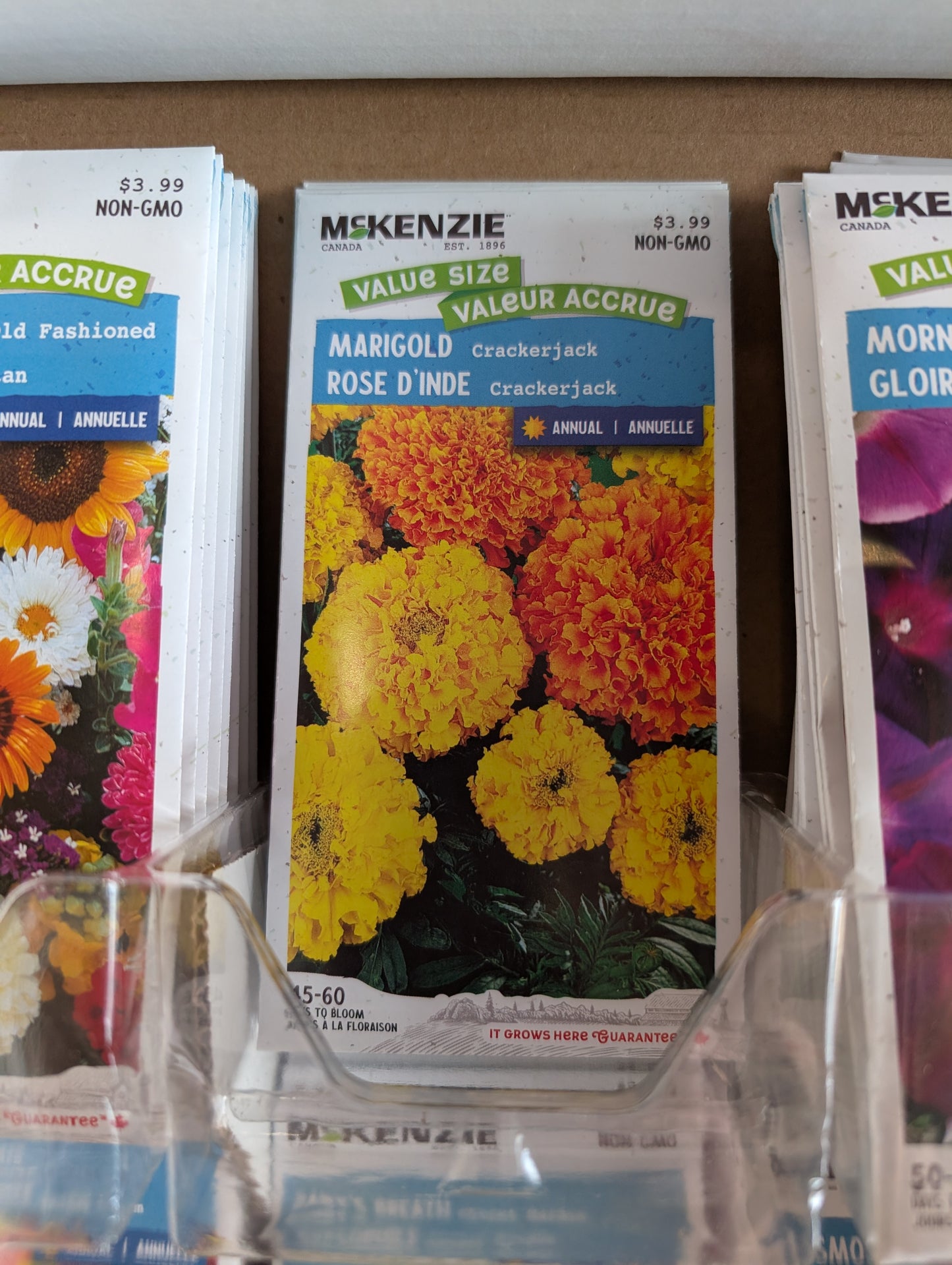 Marigold Crackerjack (value pack)