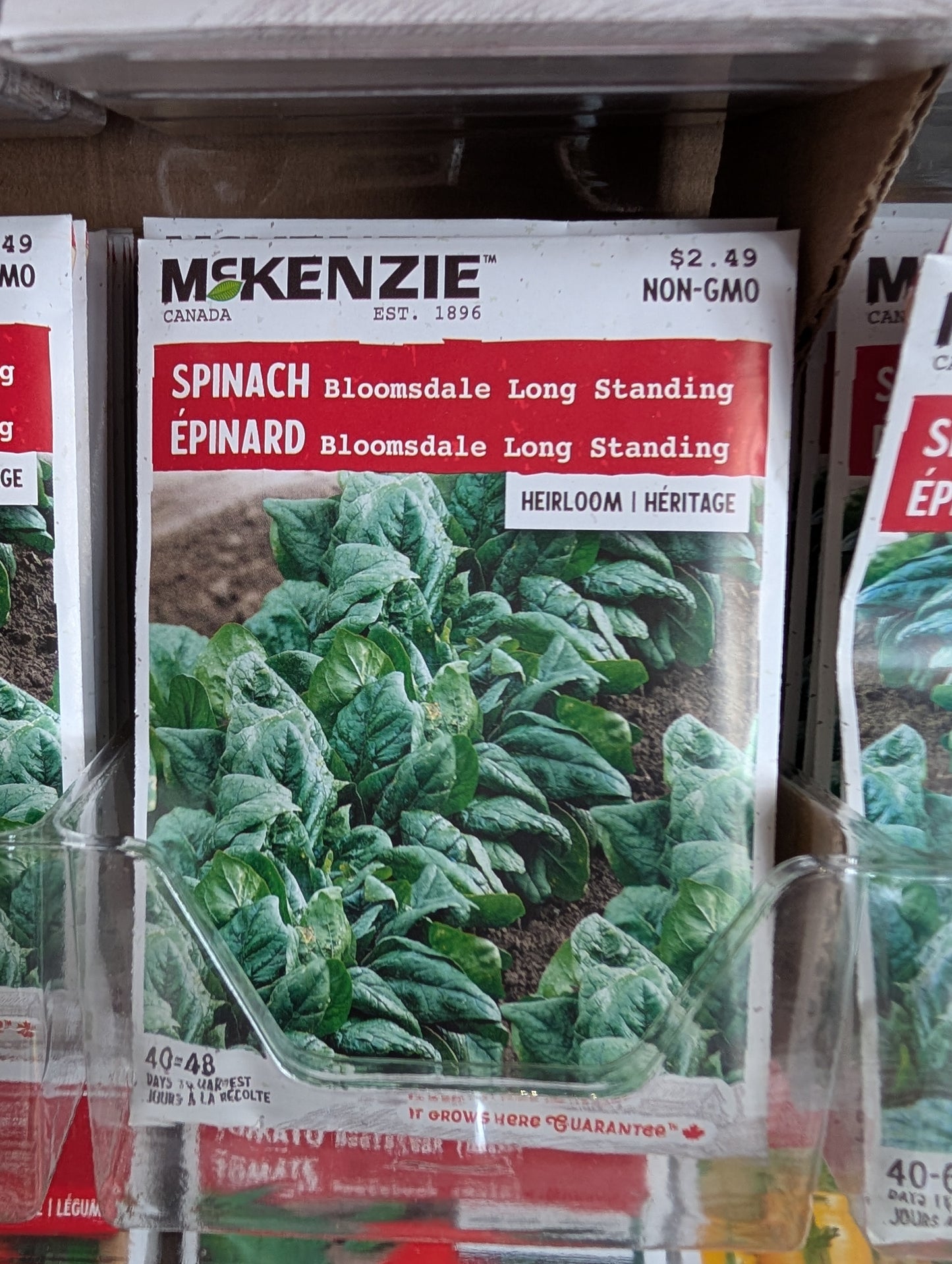 Bloomsdale Long Standing Spinach