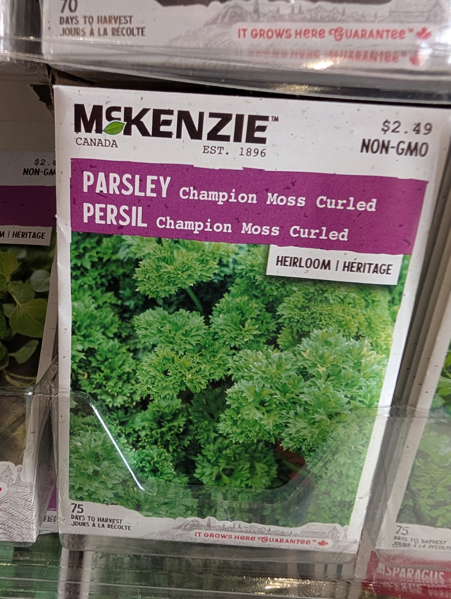 Champion Moss Curled Parsley
