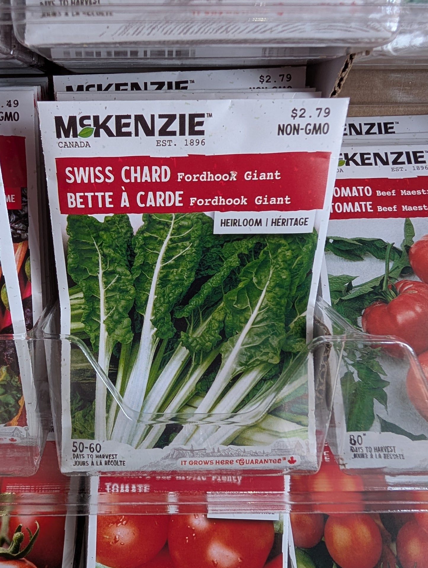 Fordhook Giant Swiss Chard