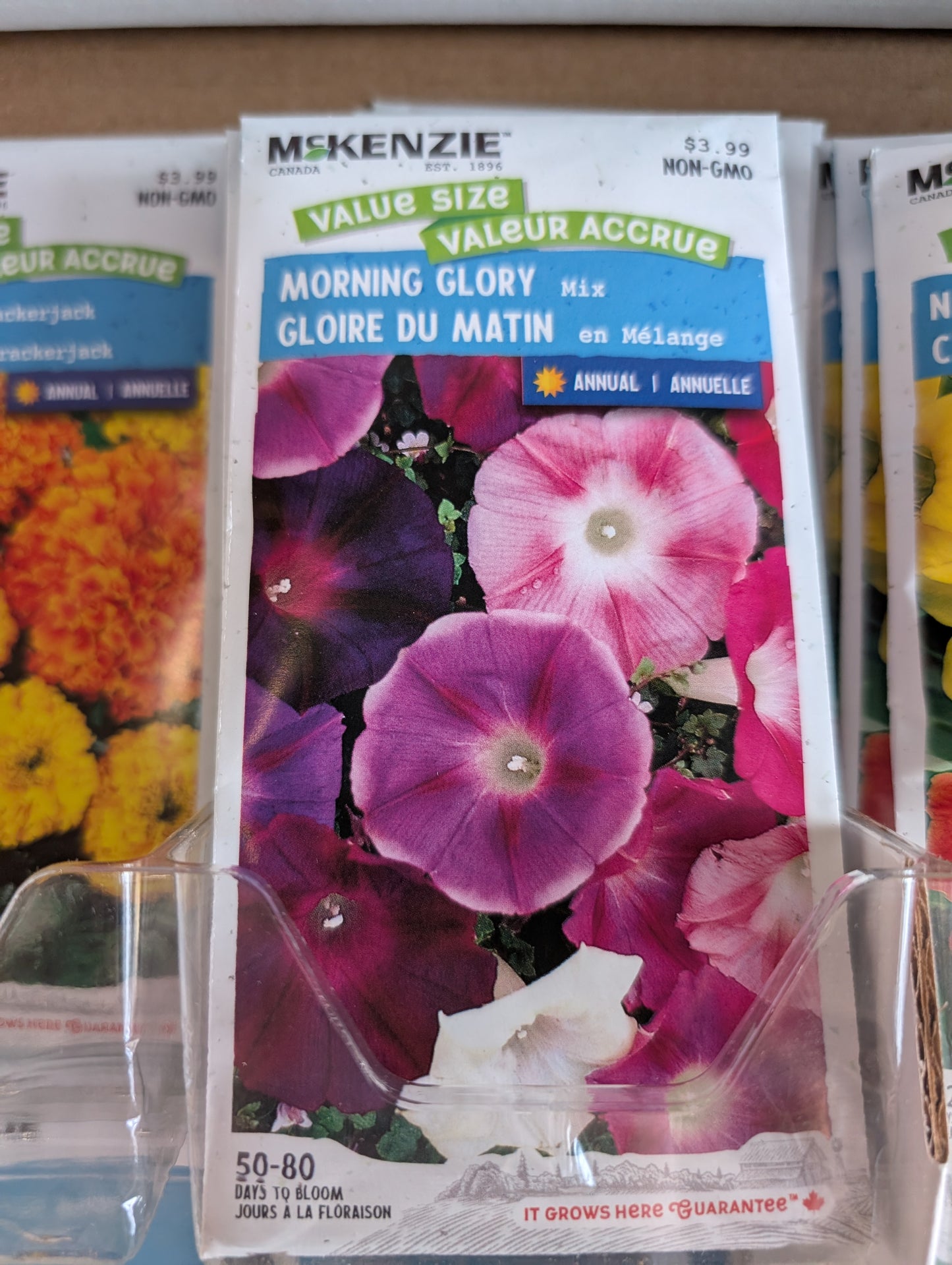 Morning Glory Mix (value pack)