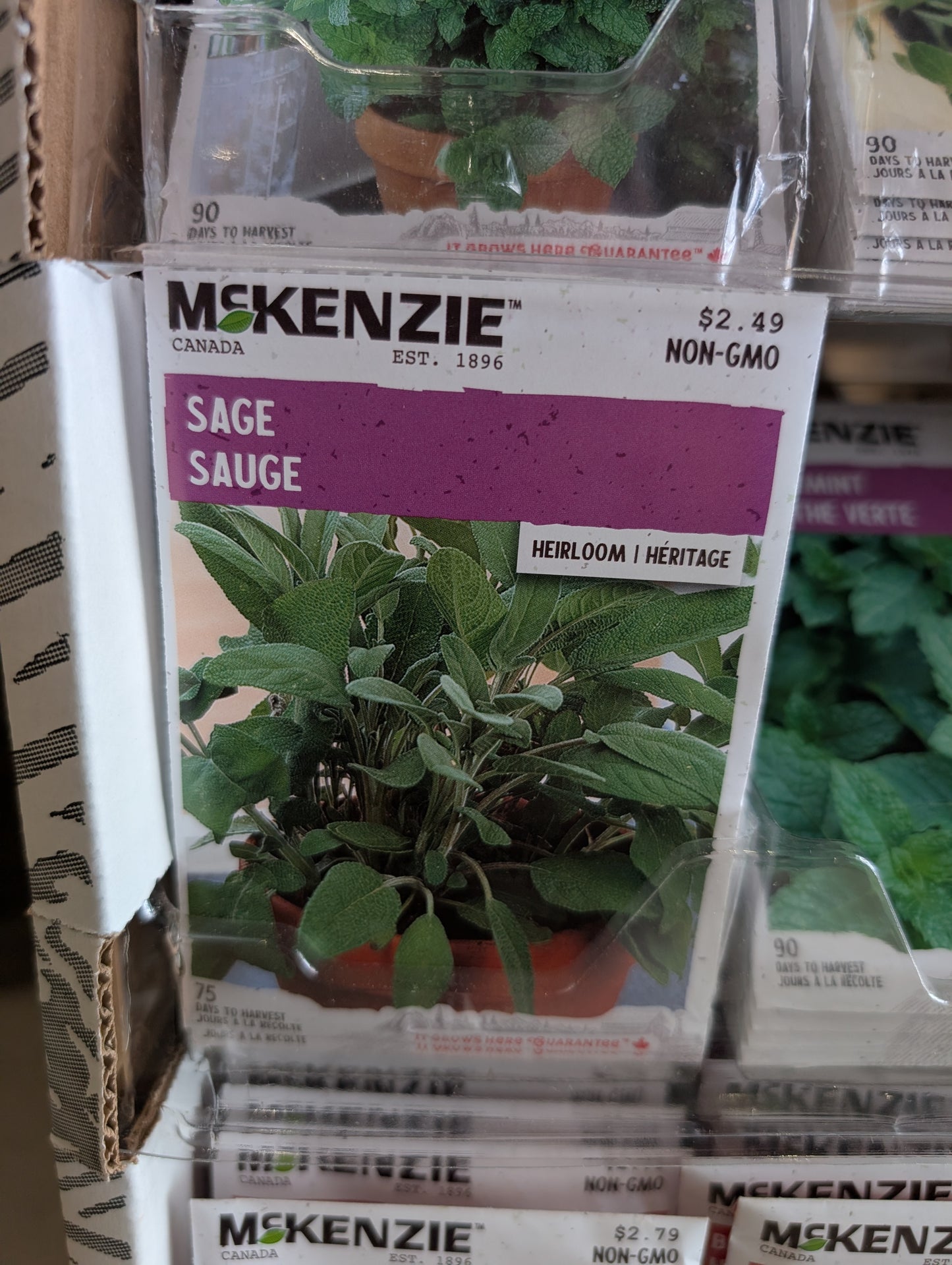 Sage