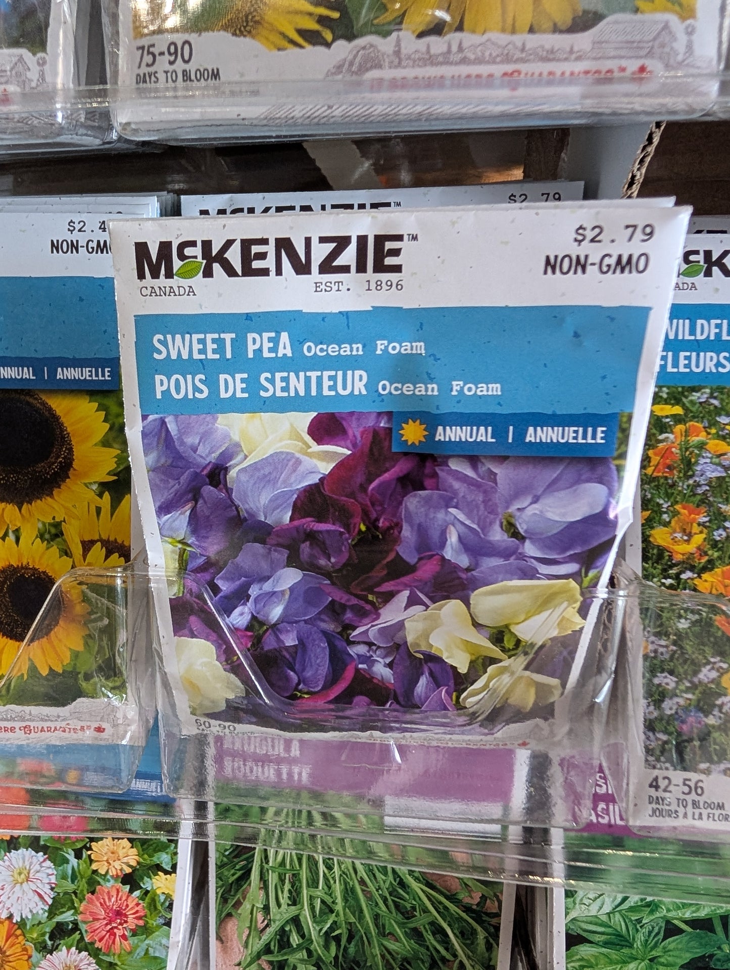 Ocean Foam Sweet Pea