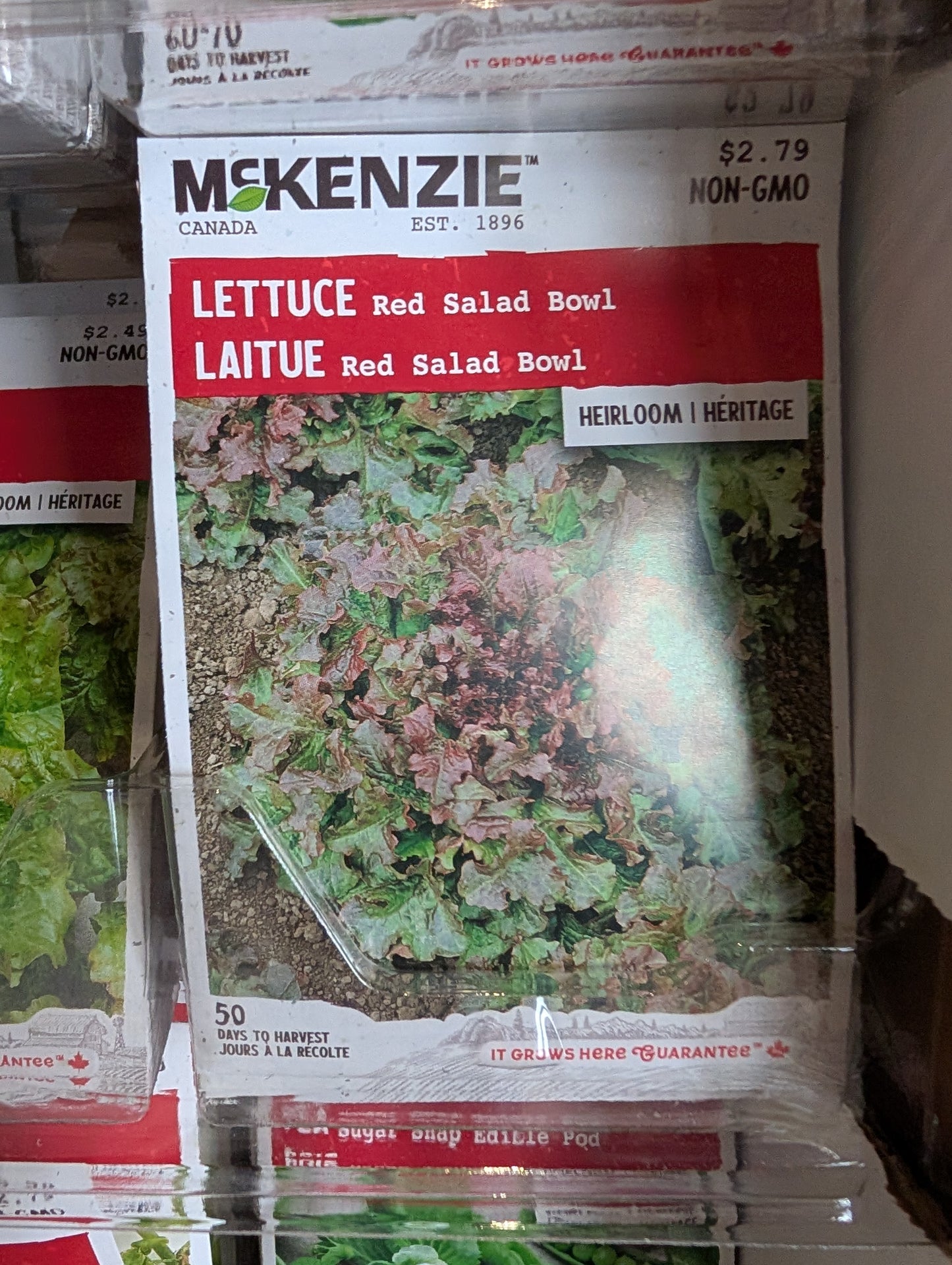 Red Salad Bowl Lettuce