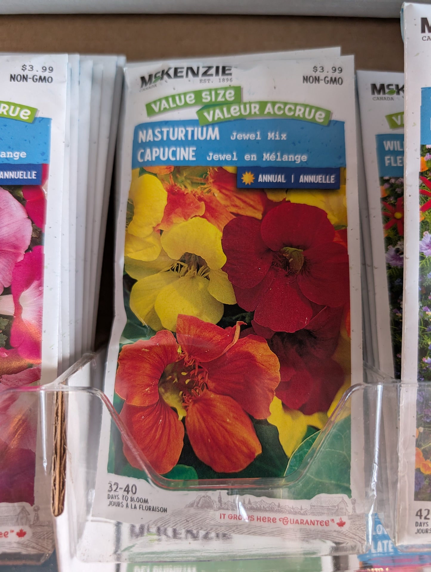 Jewel Mix Nasturtium (value pack)
