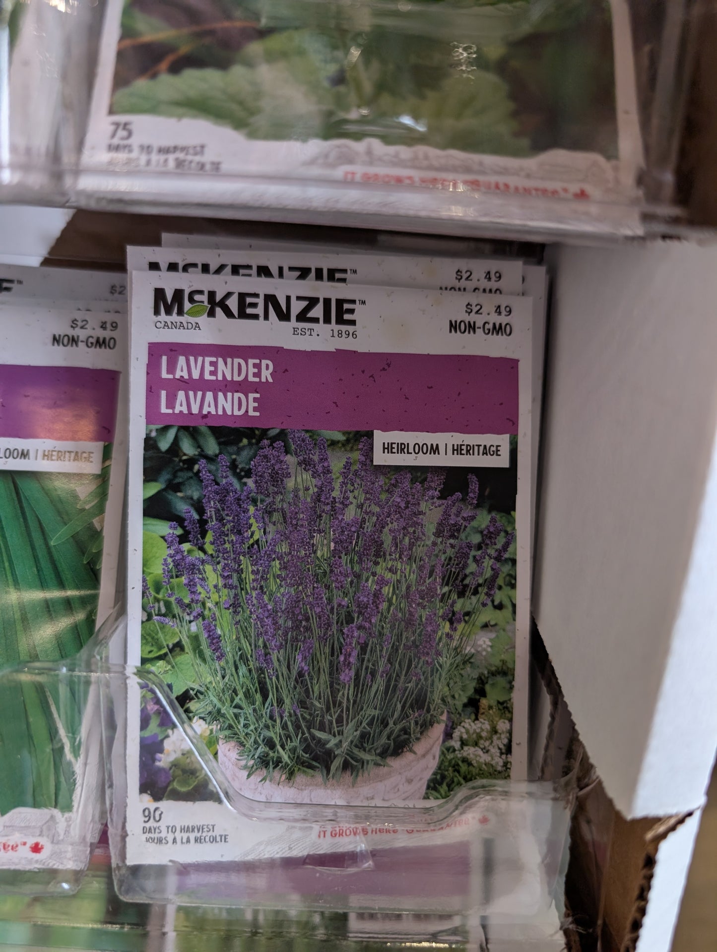 Lavender