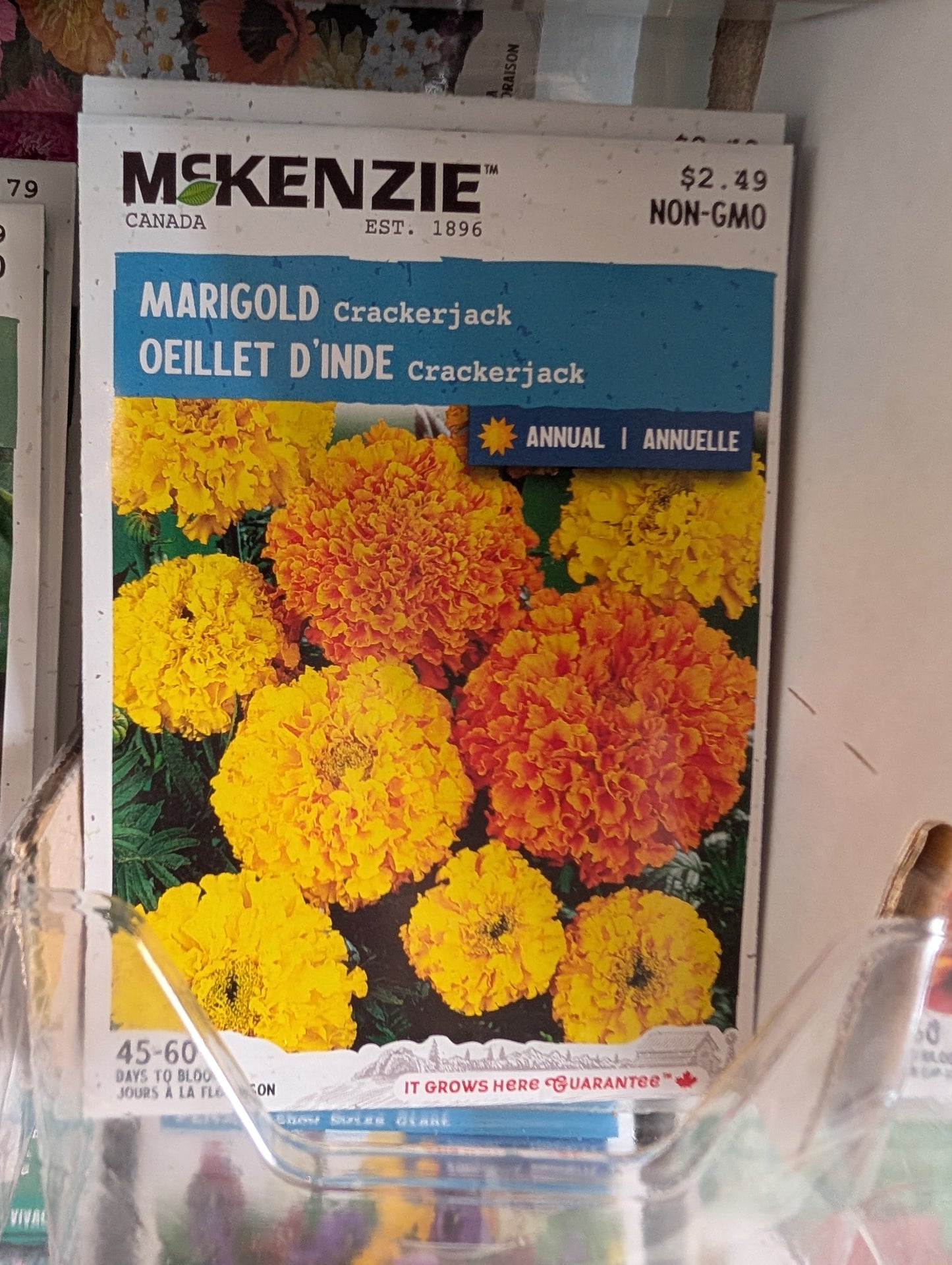 Marigold Crackerjack