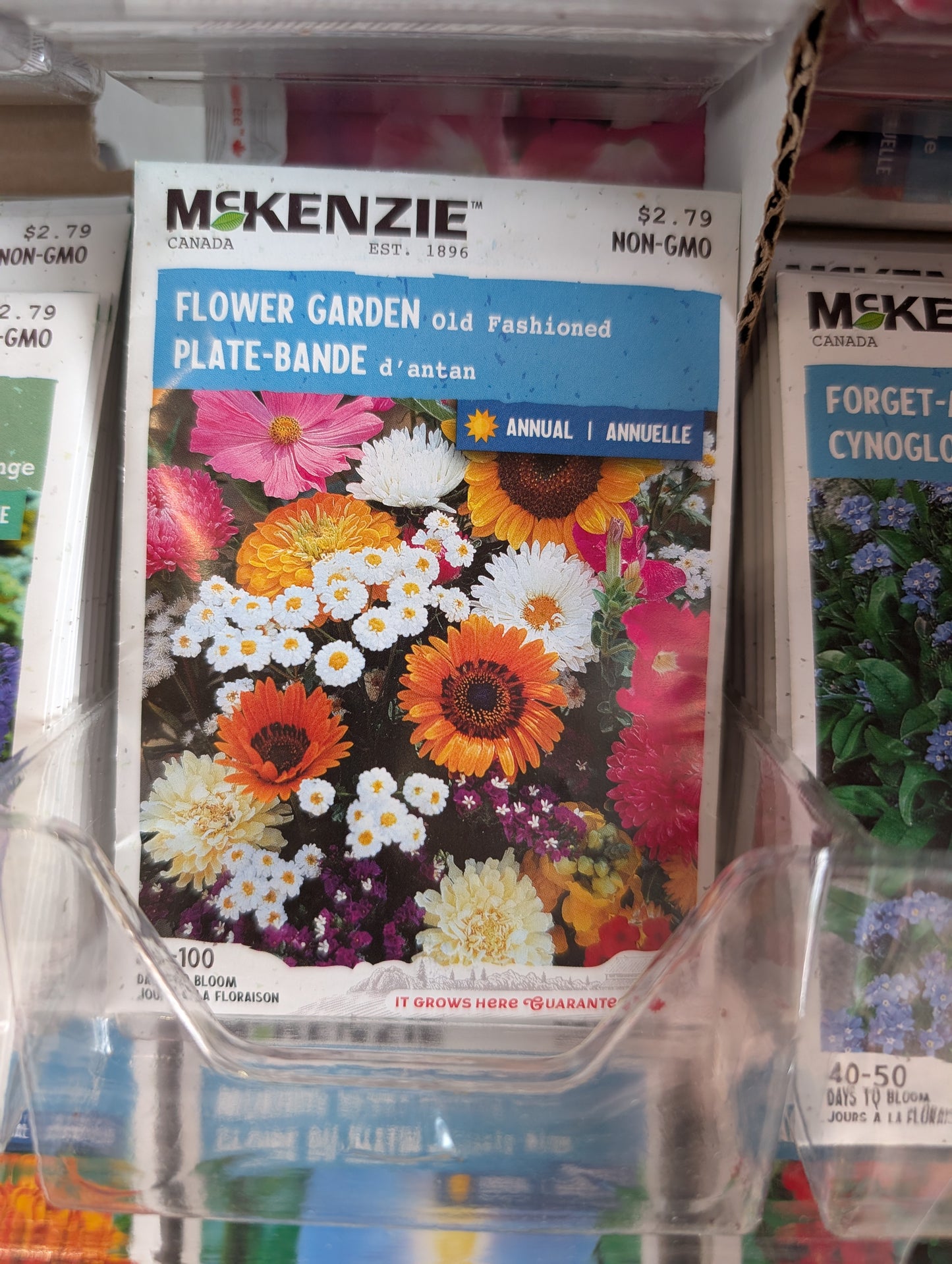 Flower Garden Old Fashioned